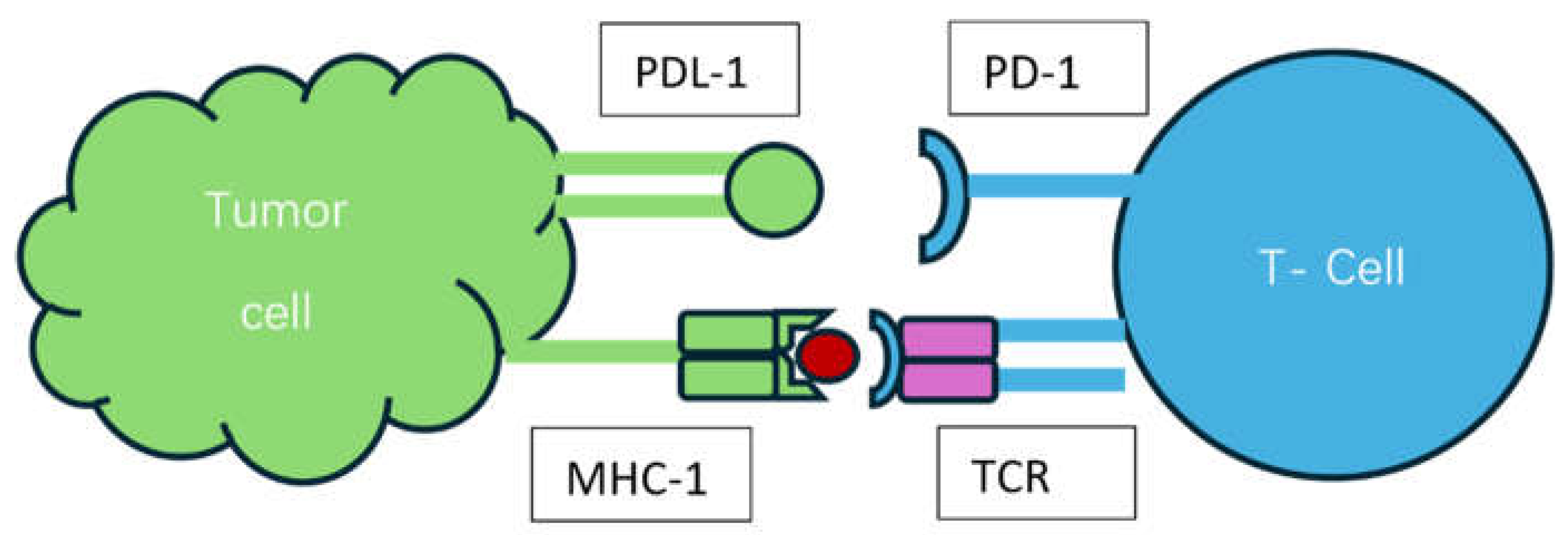 Preprints 113339 g002