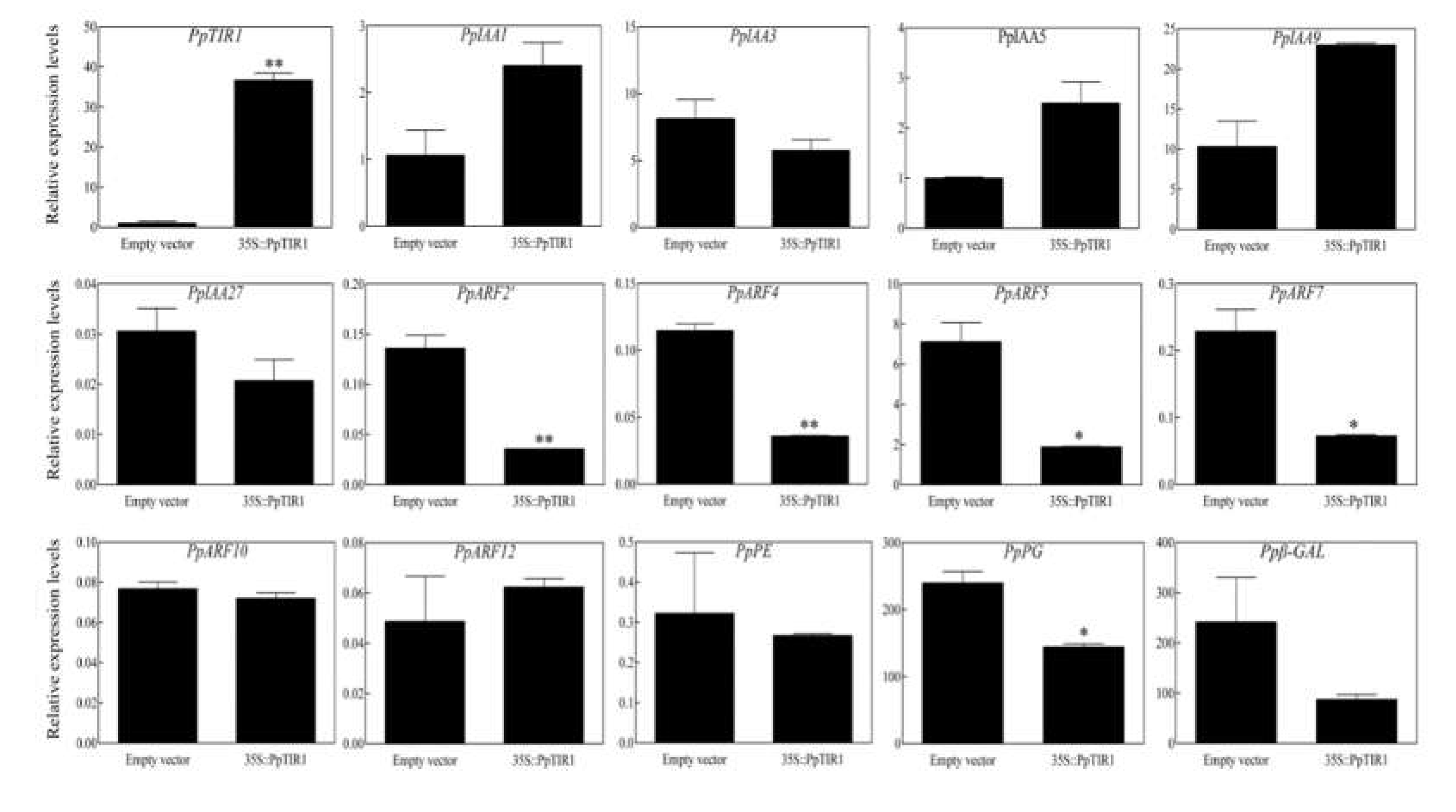 Preprints 73760 g003