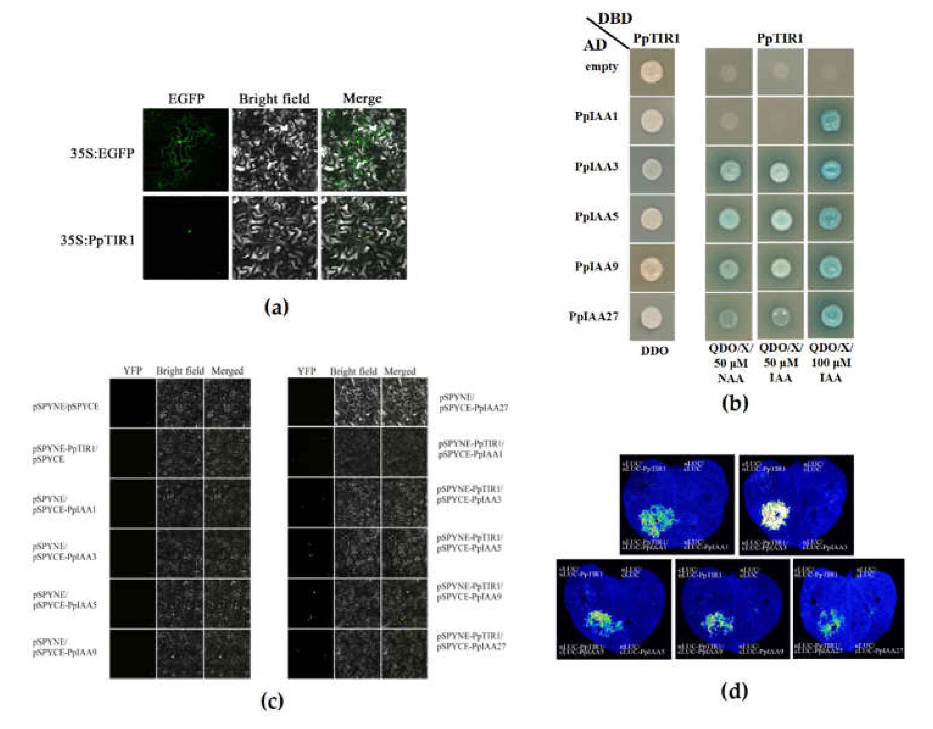 Preprints 73760 g004