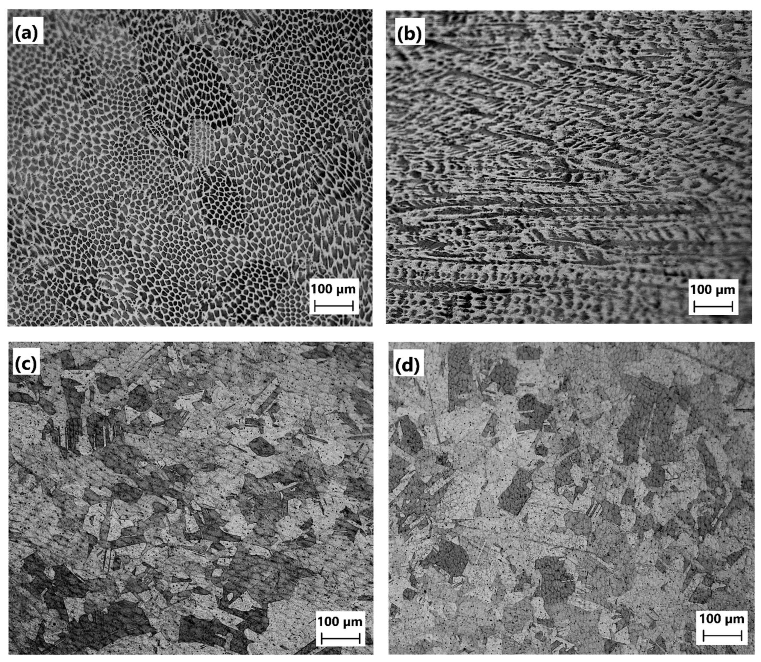 Preprints 120945 g003