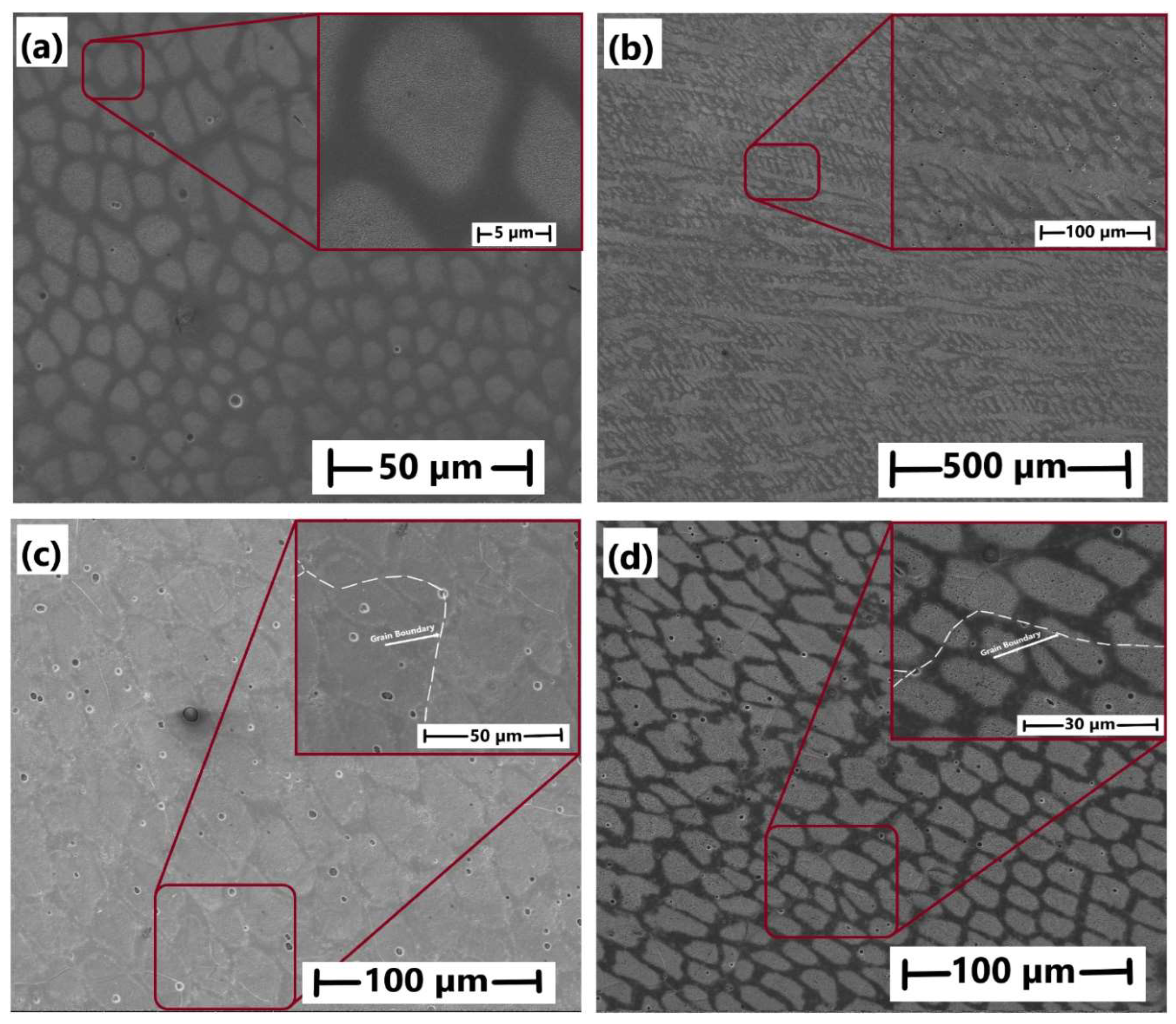 Preprints 120945 g005