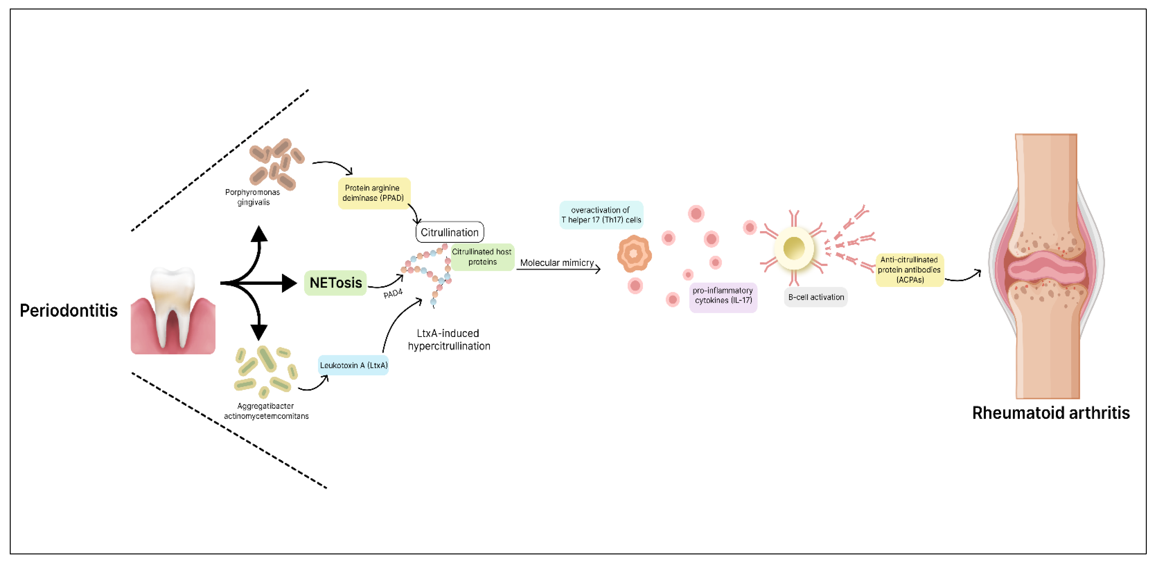 Preprints 110922 g003