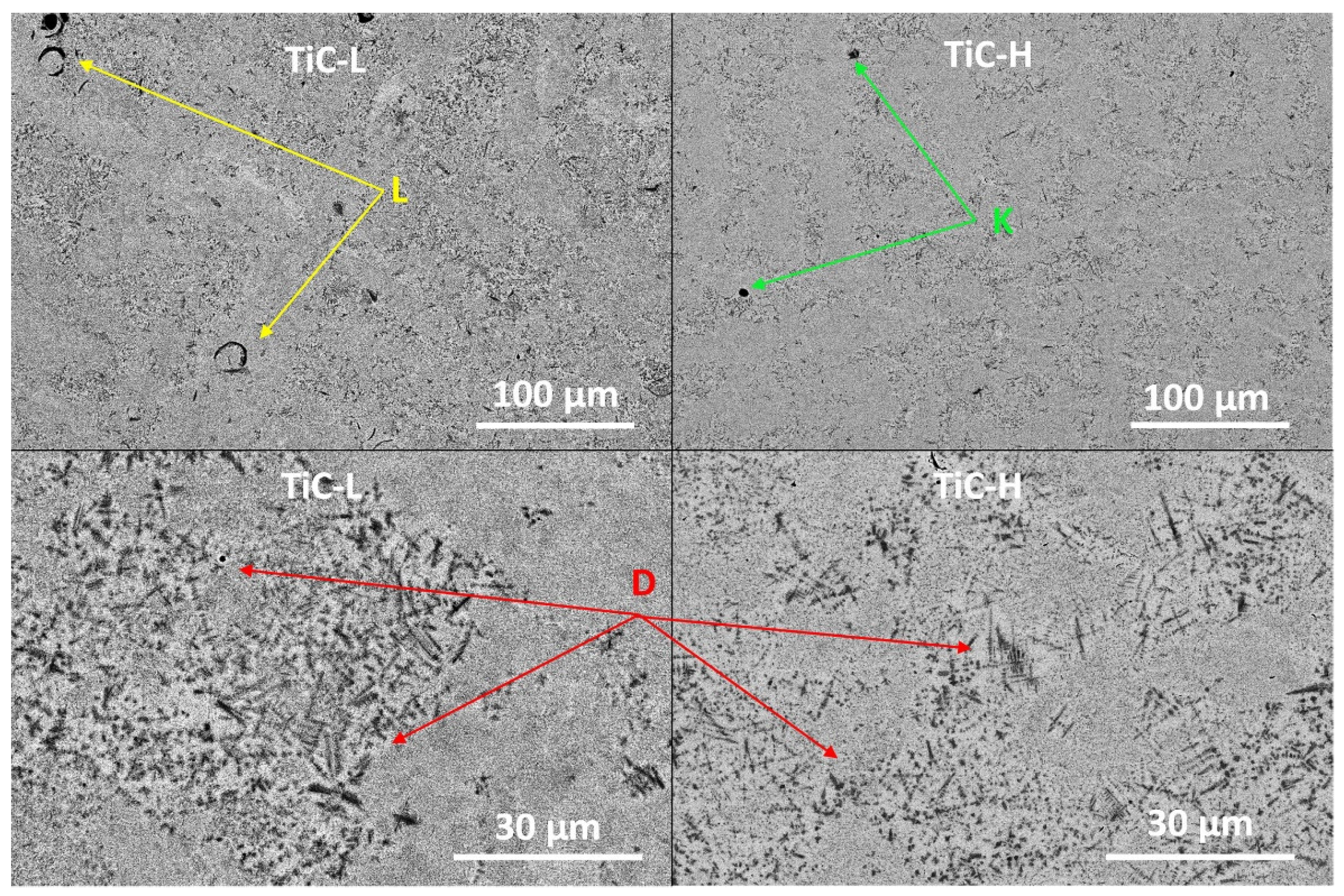 Preprints 120294 g003