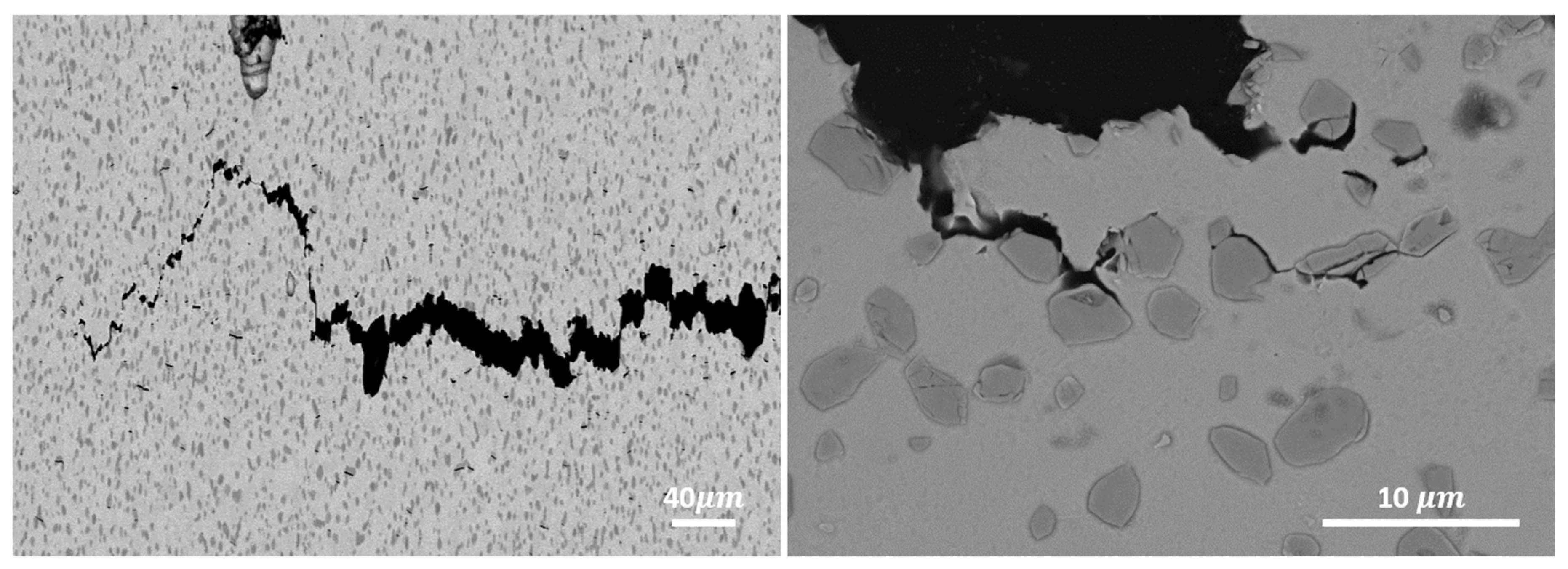 Preprints 120294 g008