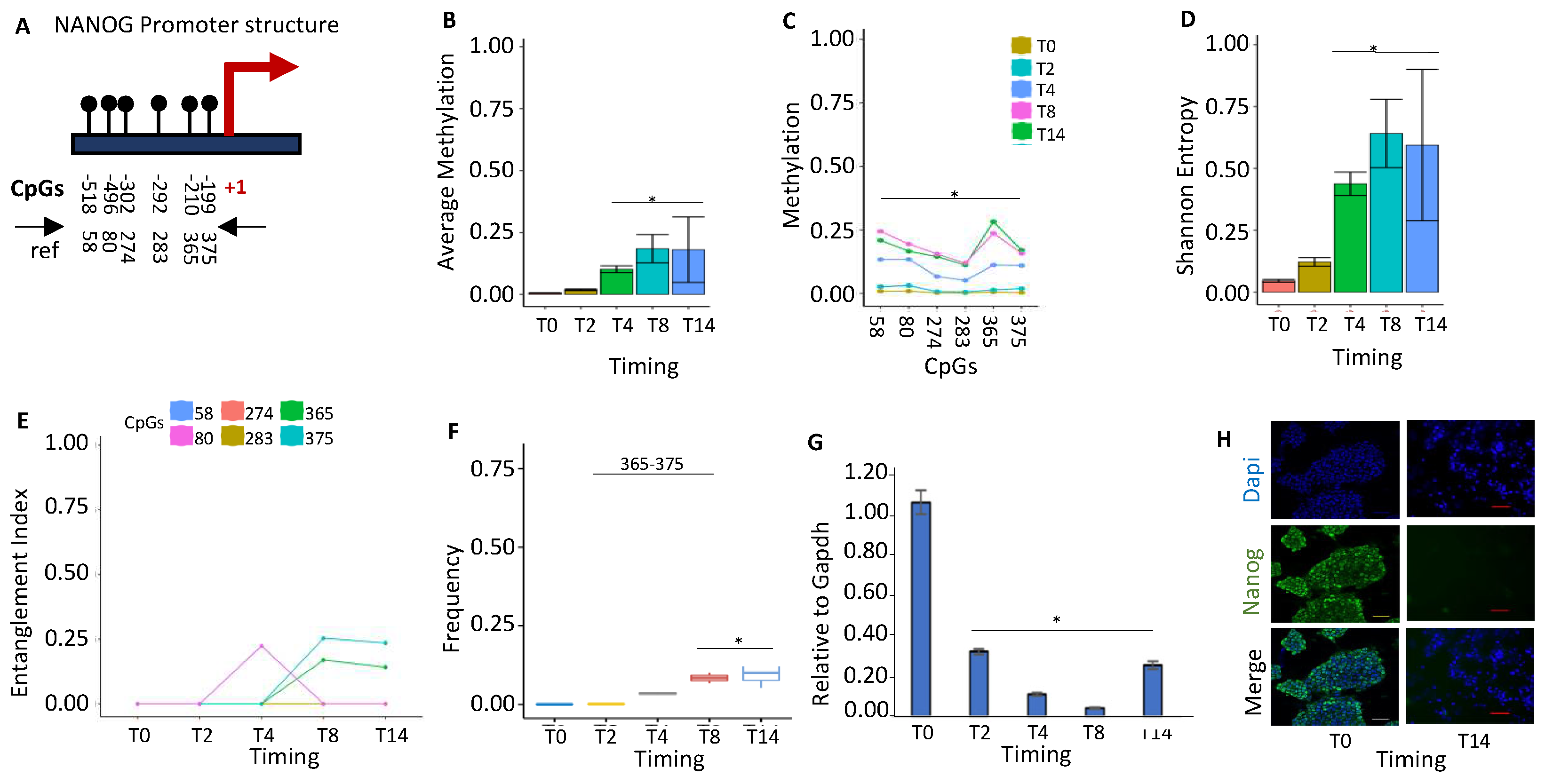 Preprints 75303 g001