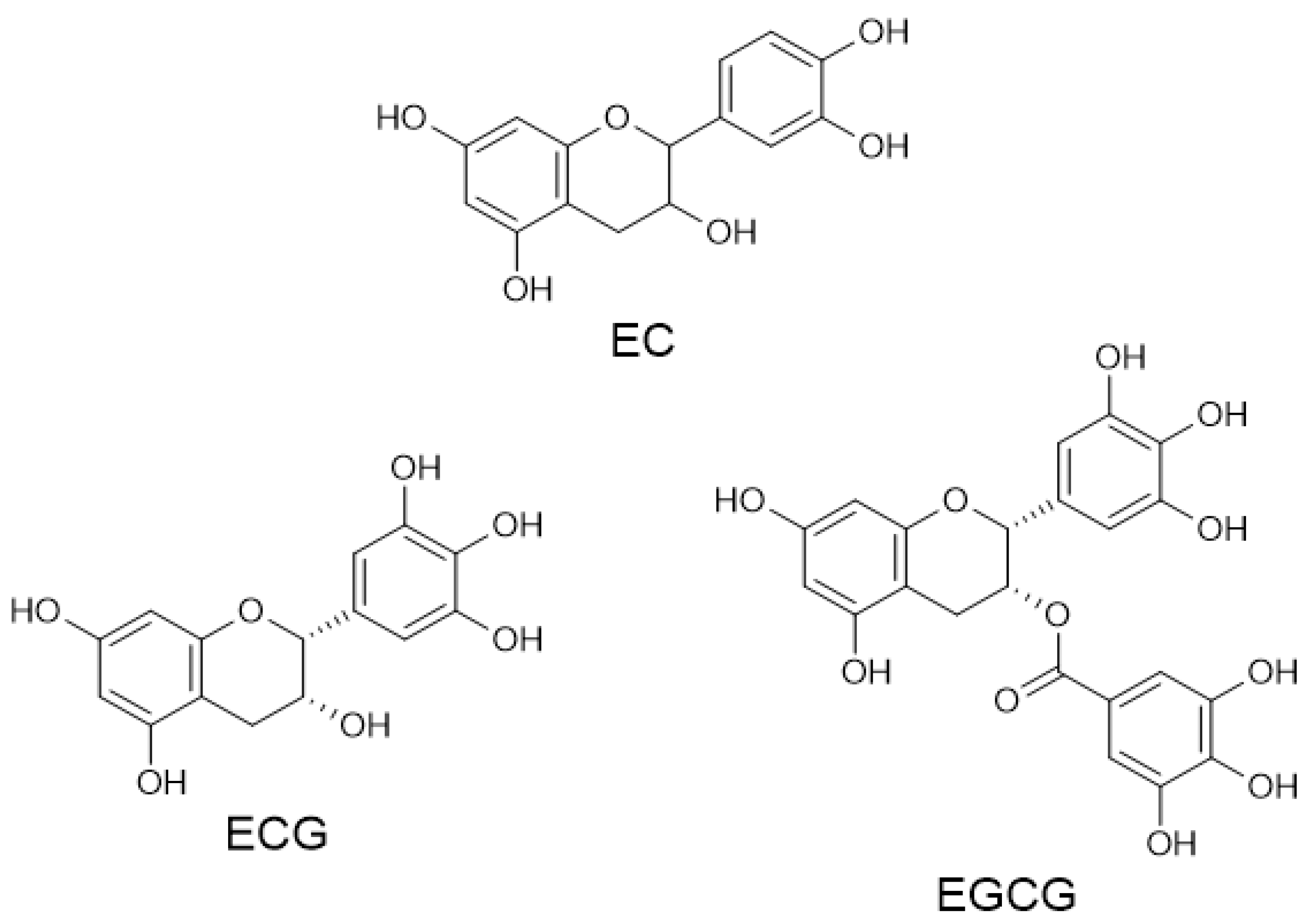 Preprints 102754 g001