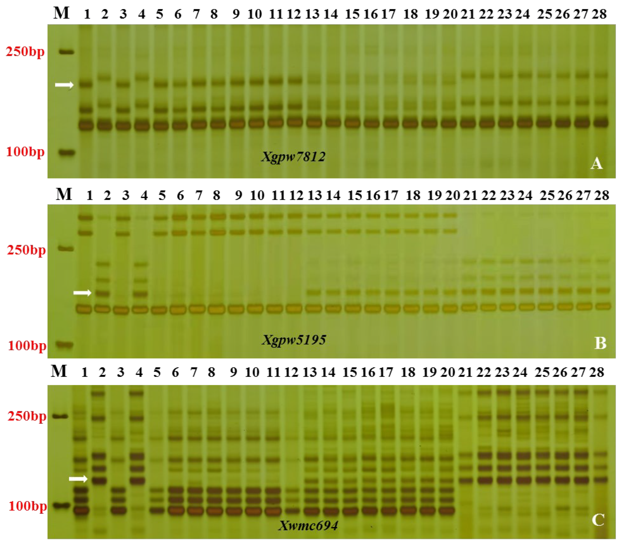 Preprints 99127 g001