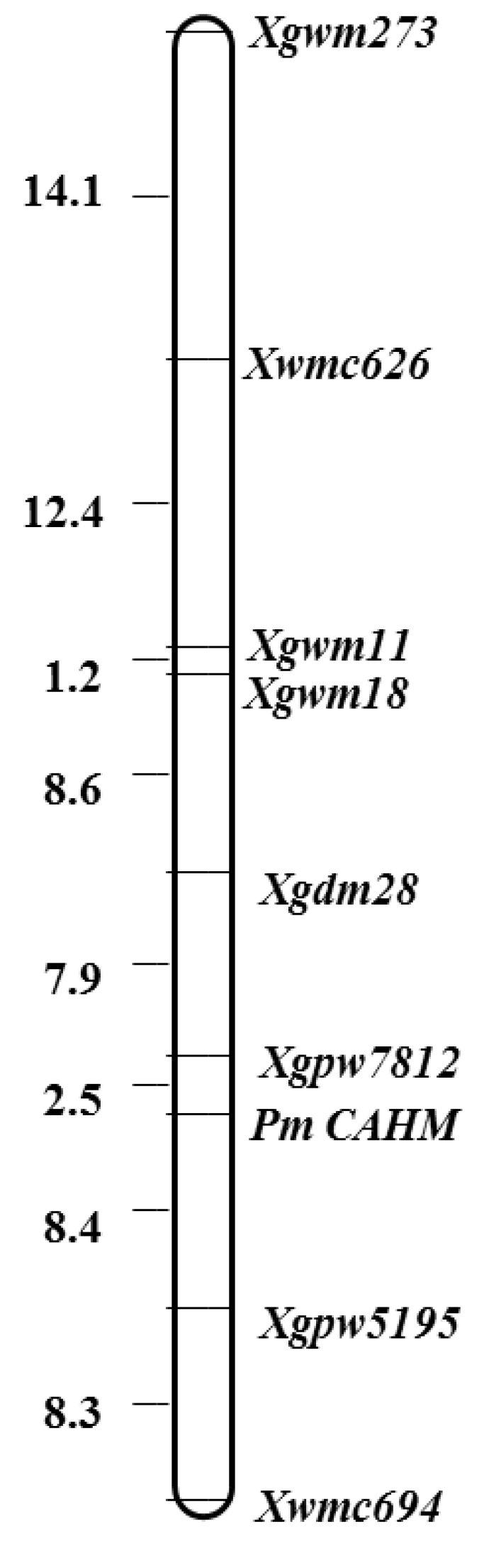 Preprints 99127 g002