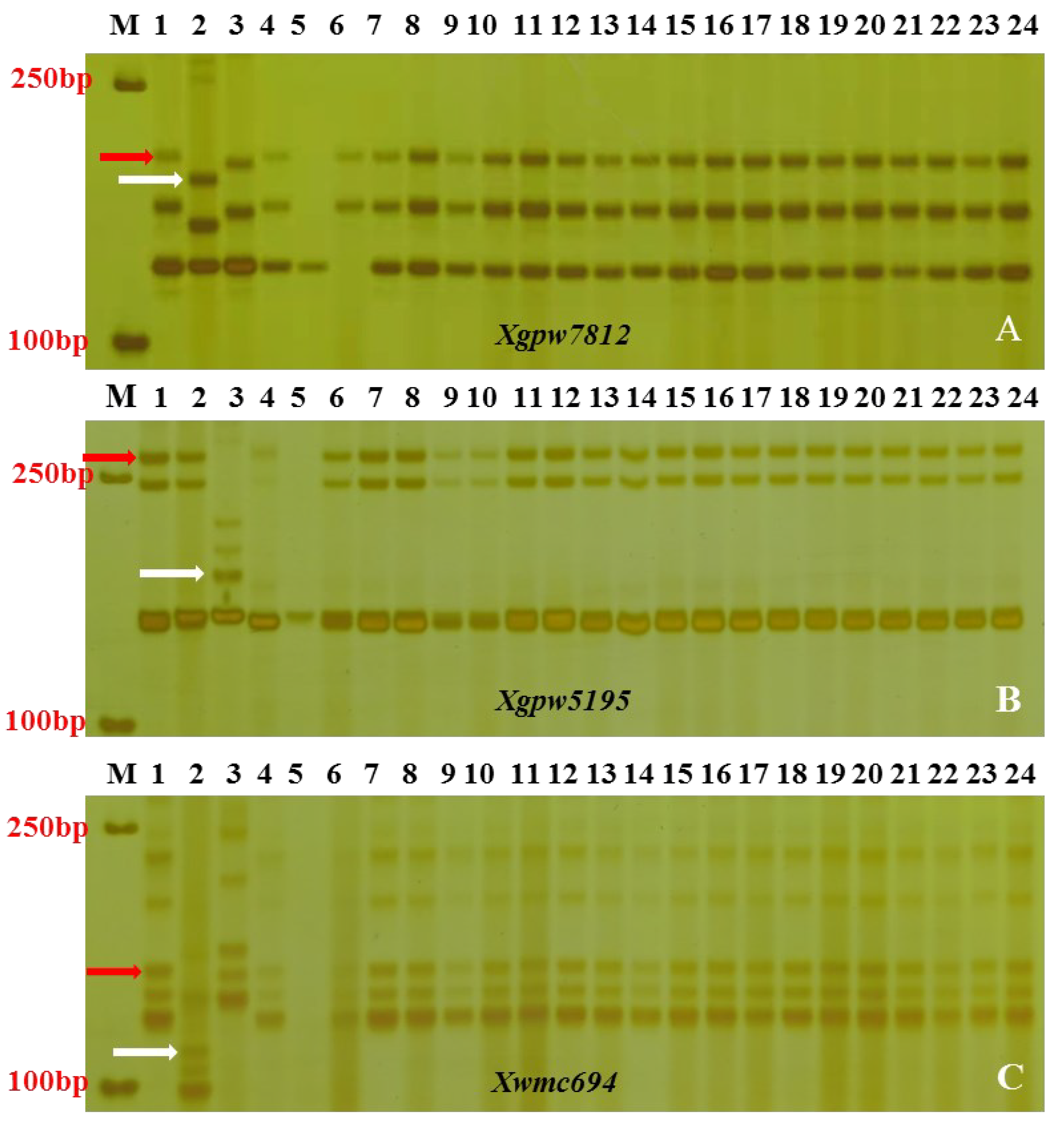 Preprints 99127 g003