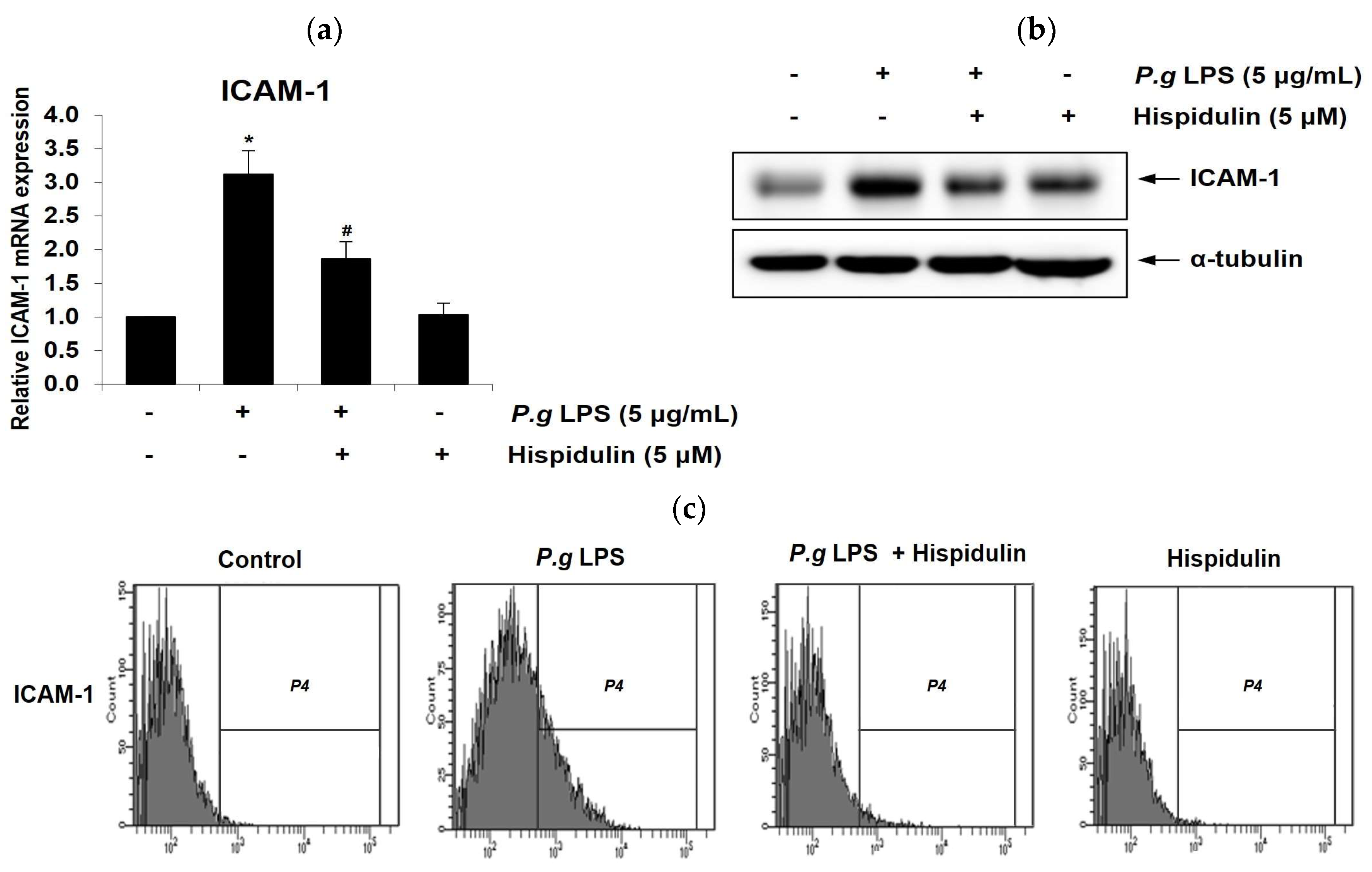 Preprints 83925 g002