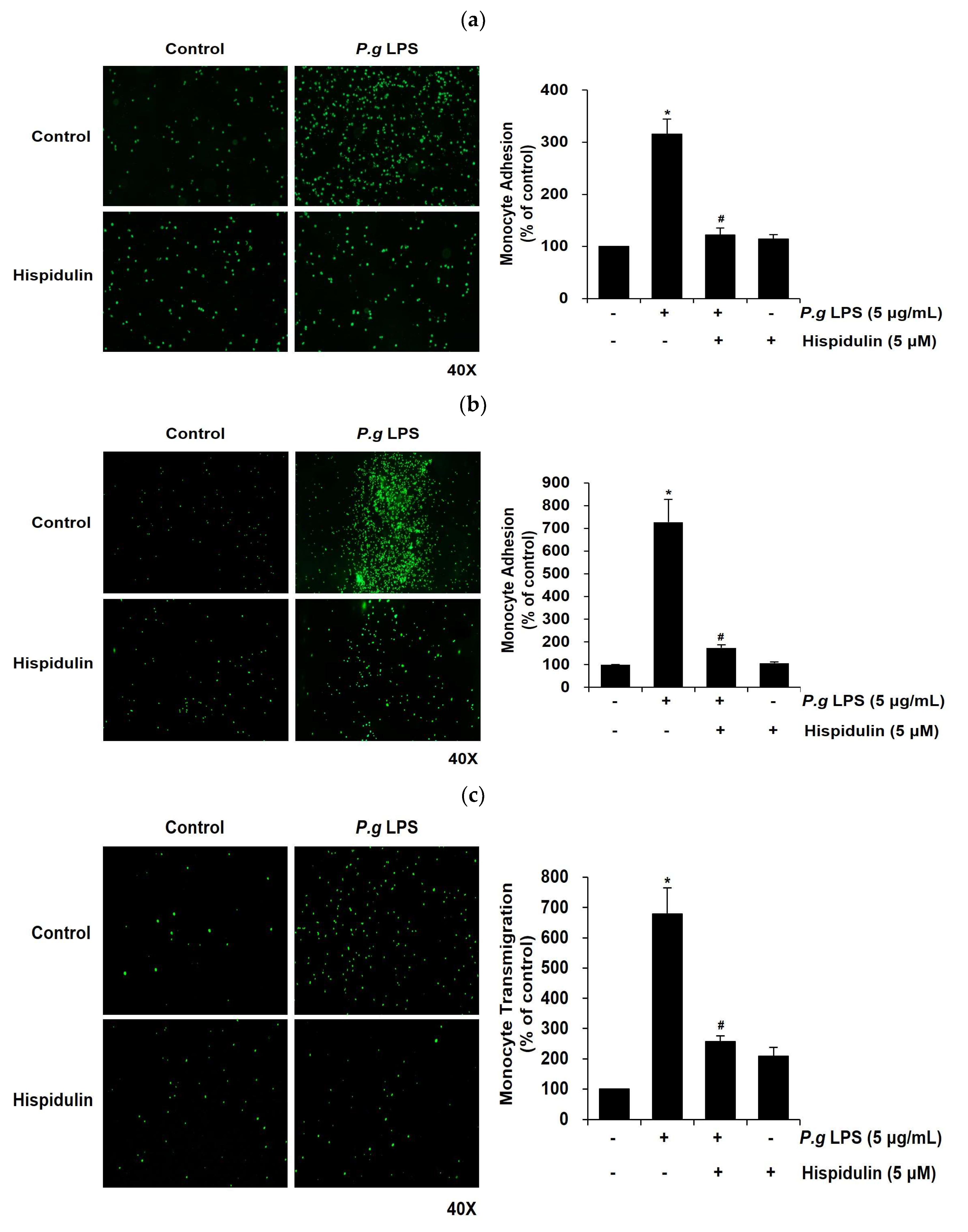 Preprints 83925 g003