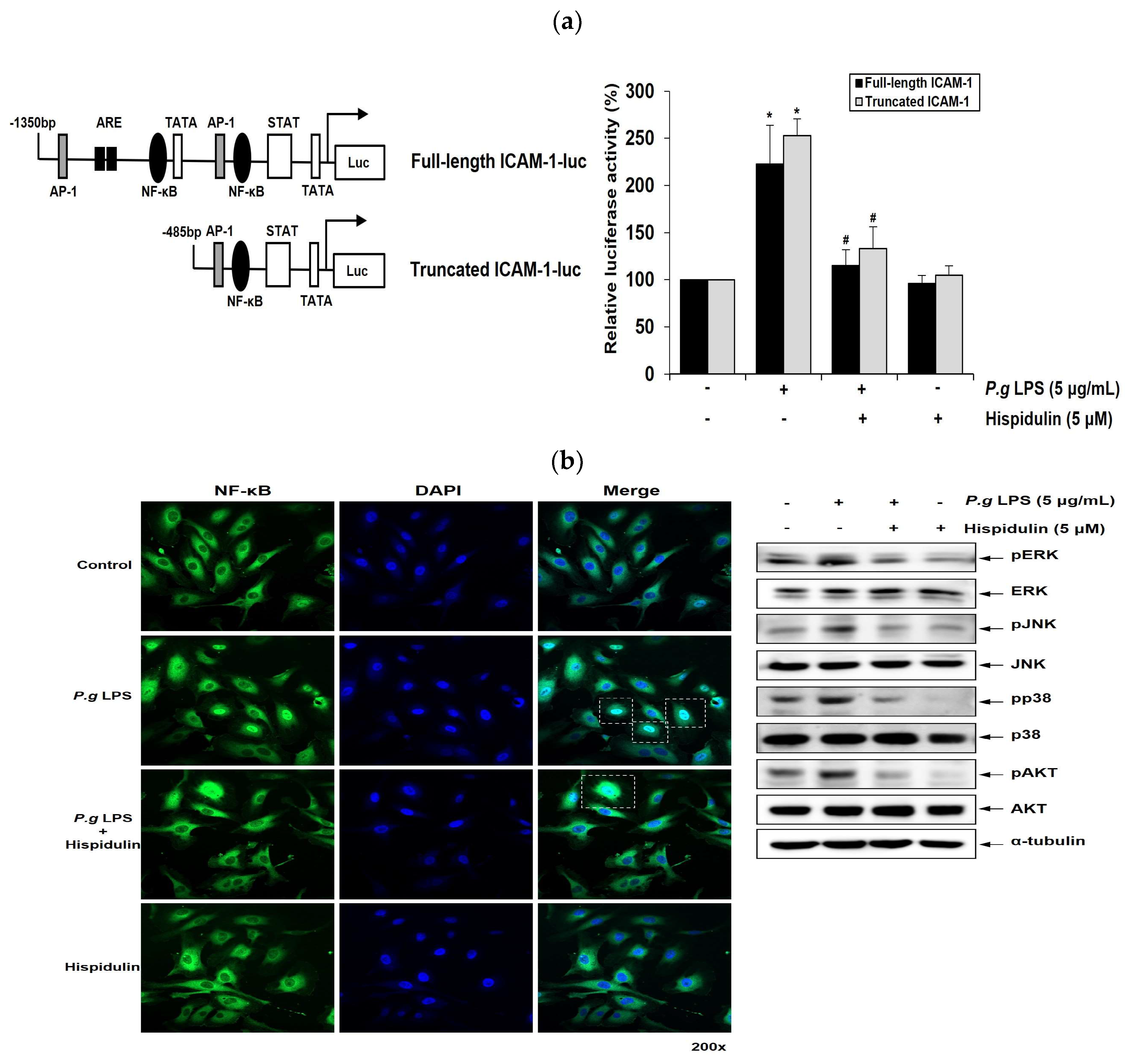 Preprints 83925 g004