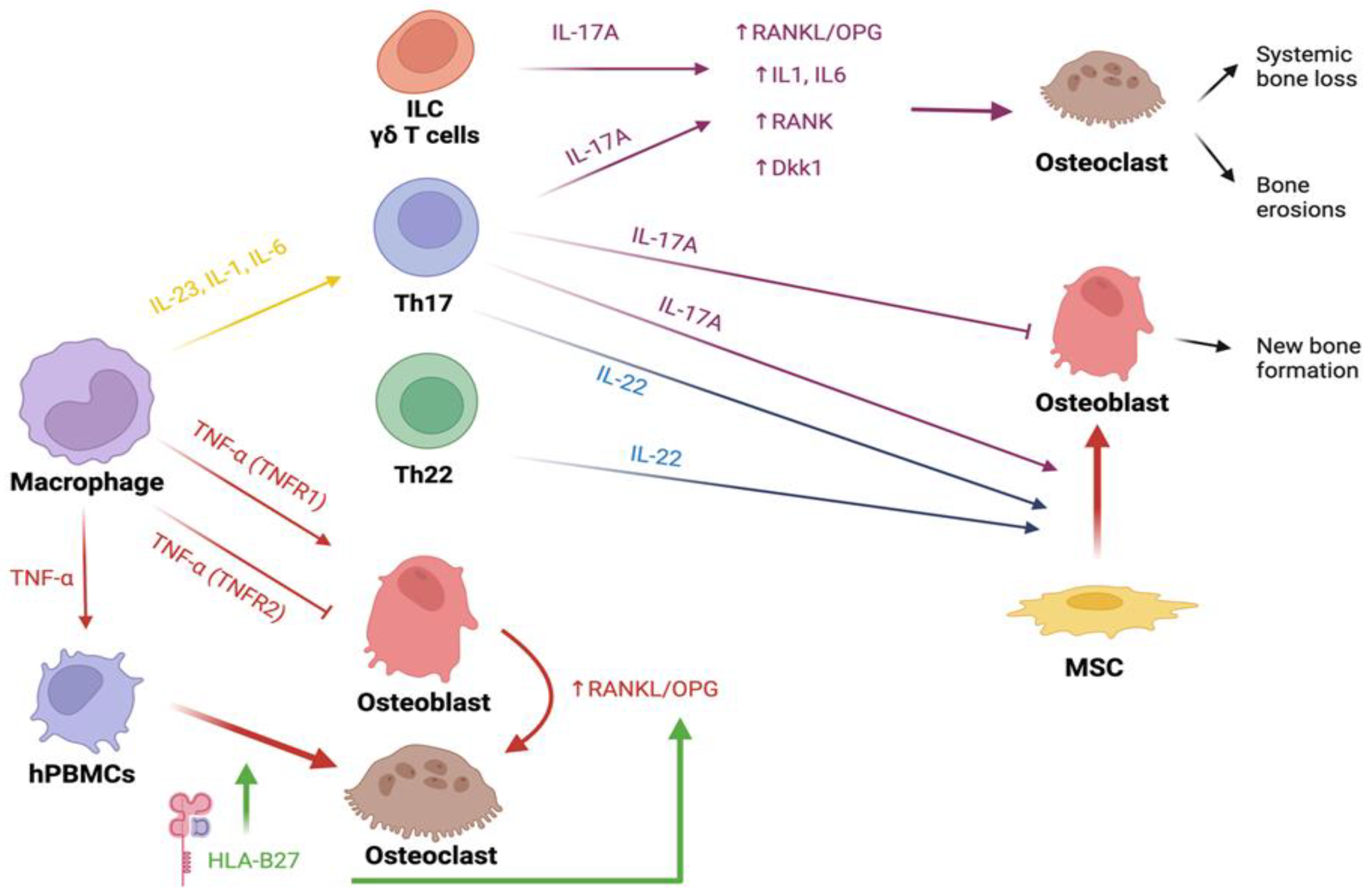 Preprints 85087 g002