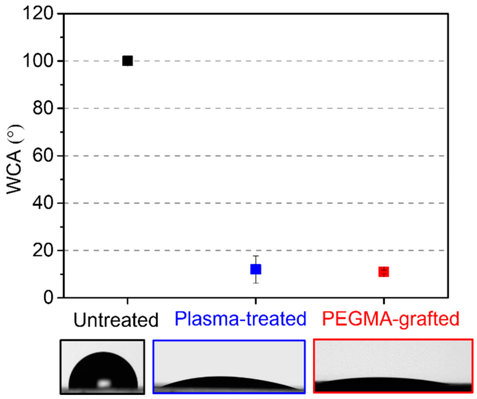 Preprints 106396 g003