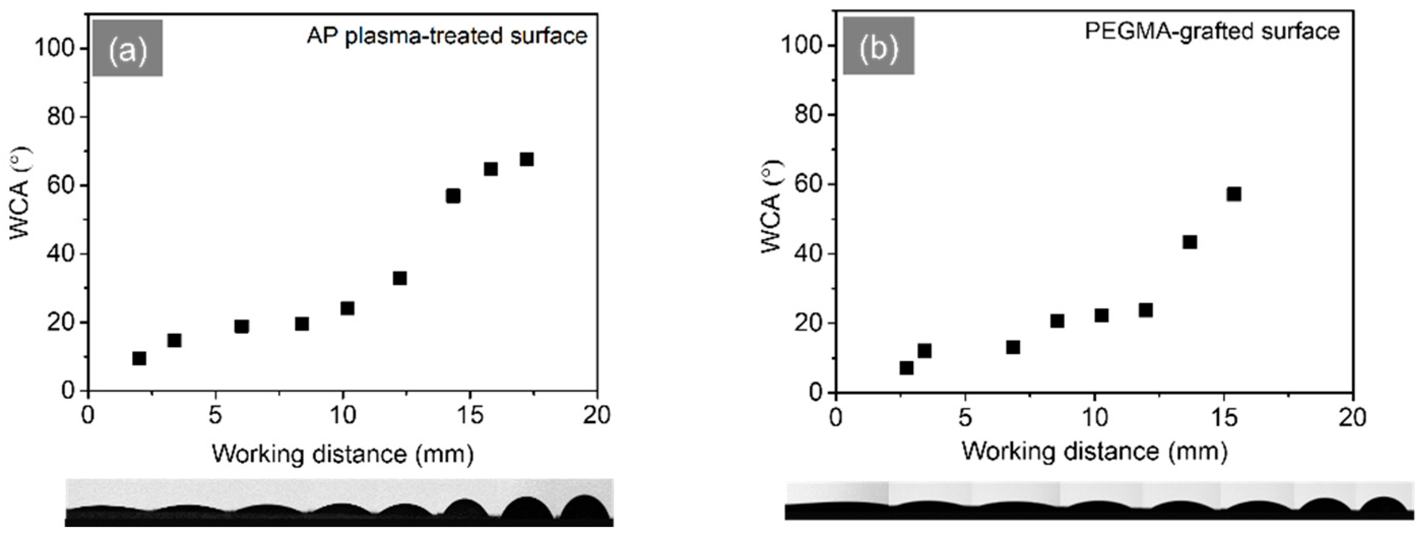 Preprints 106396 g005