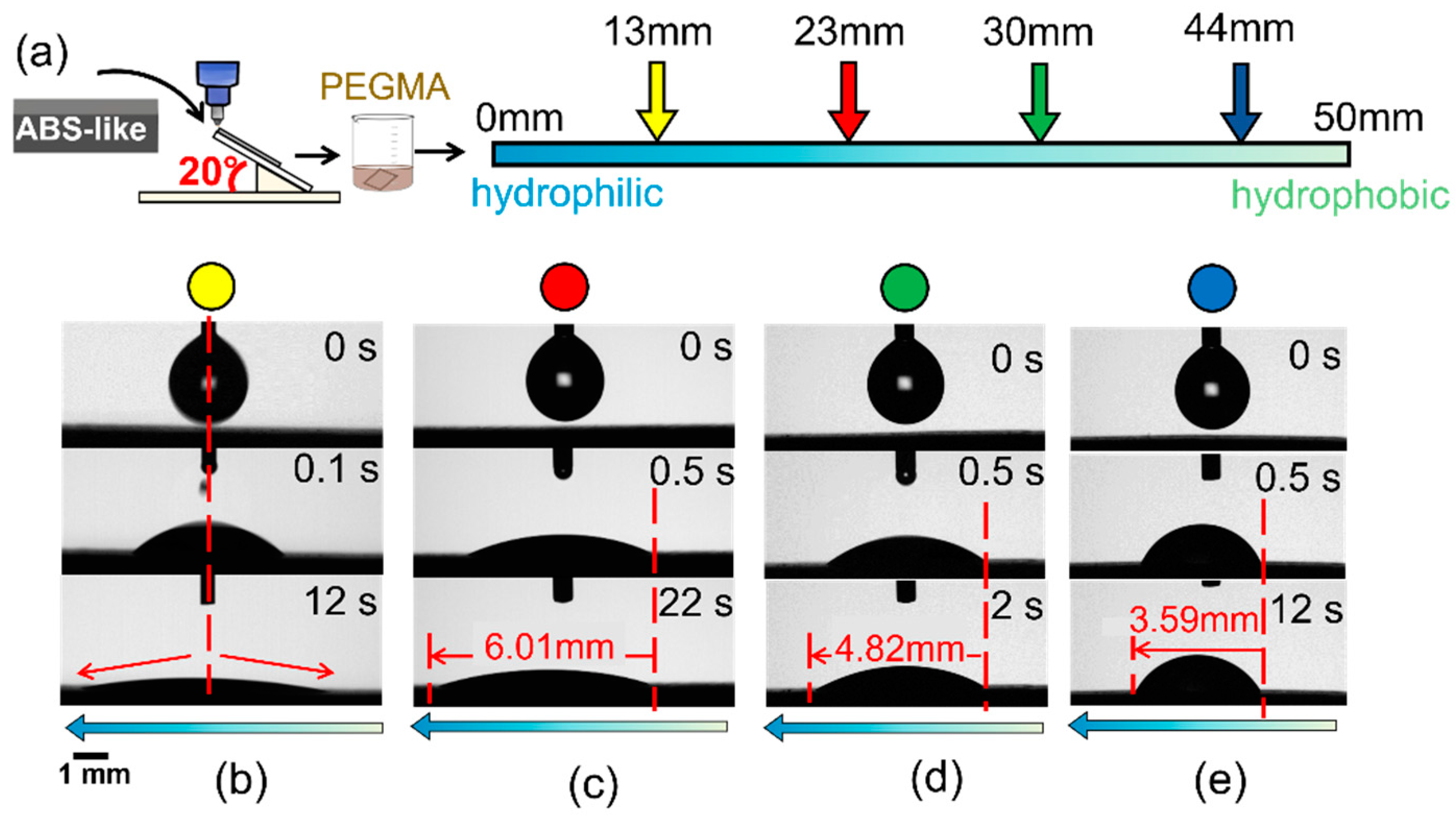 Preprints 106396 g006