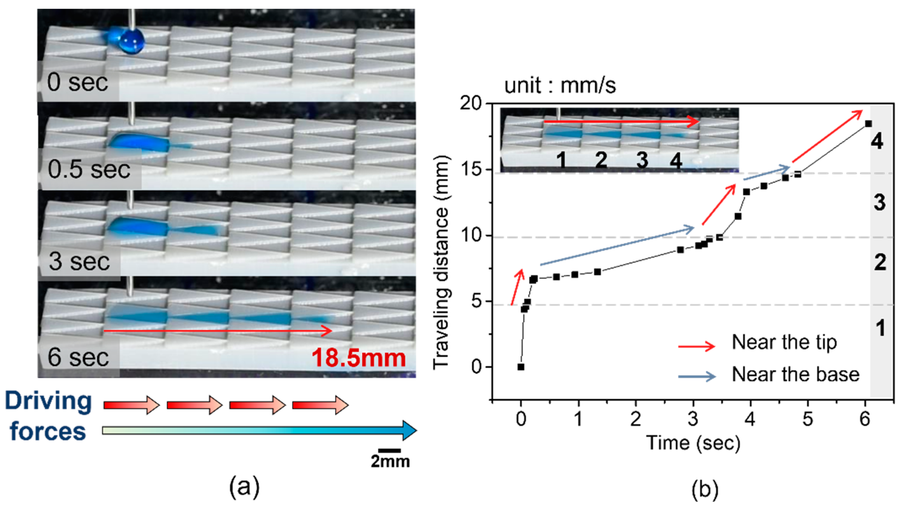 Preprints 106396 g011