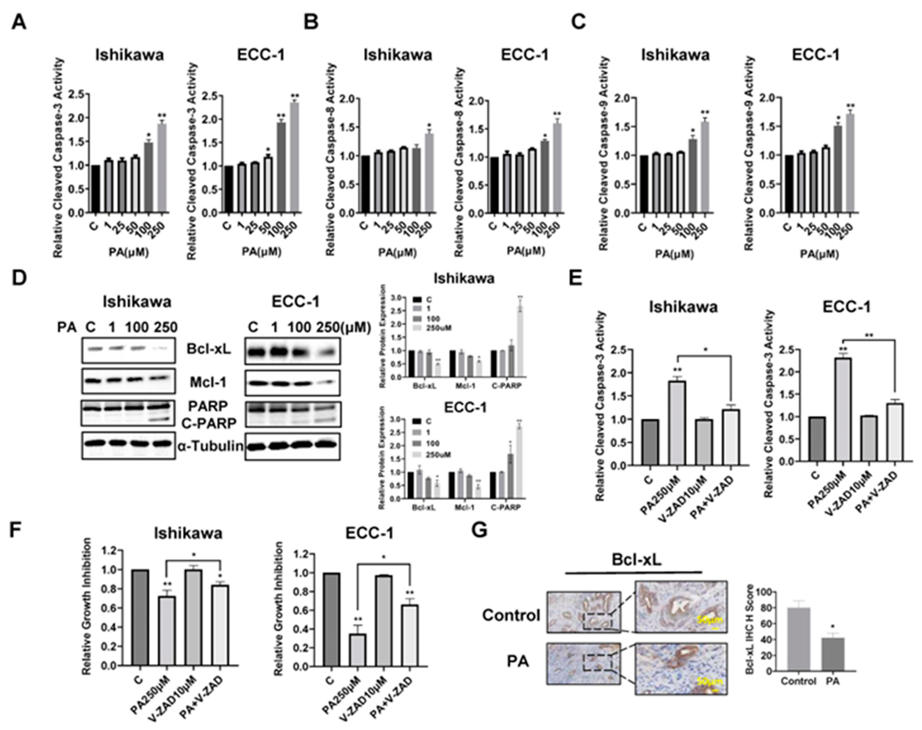 Preprints 97734 g002