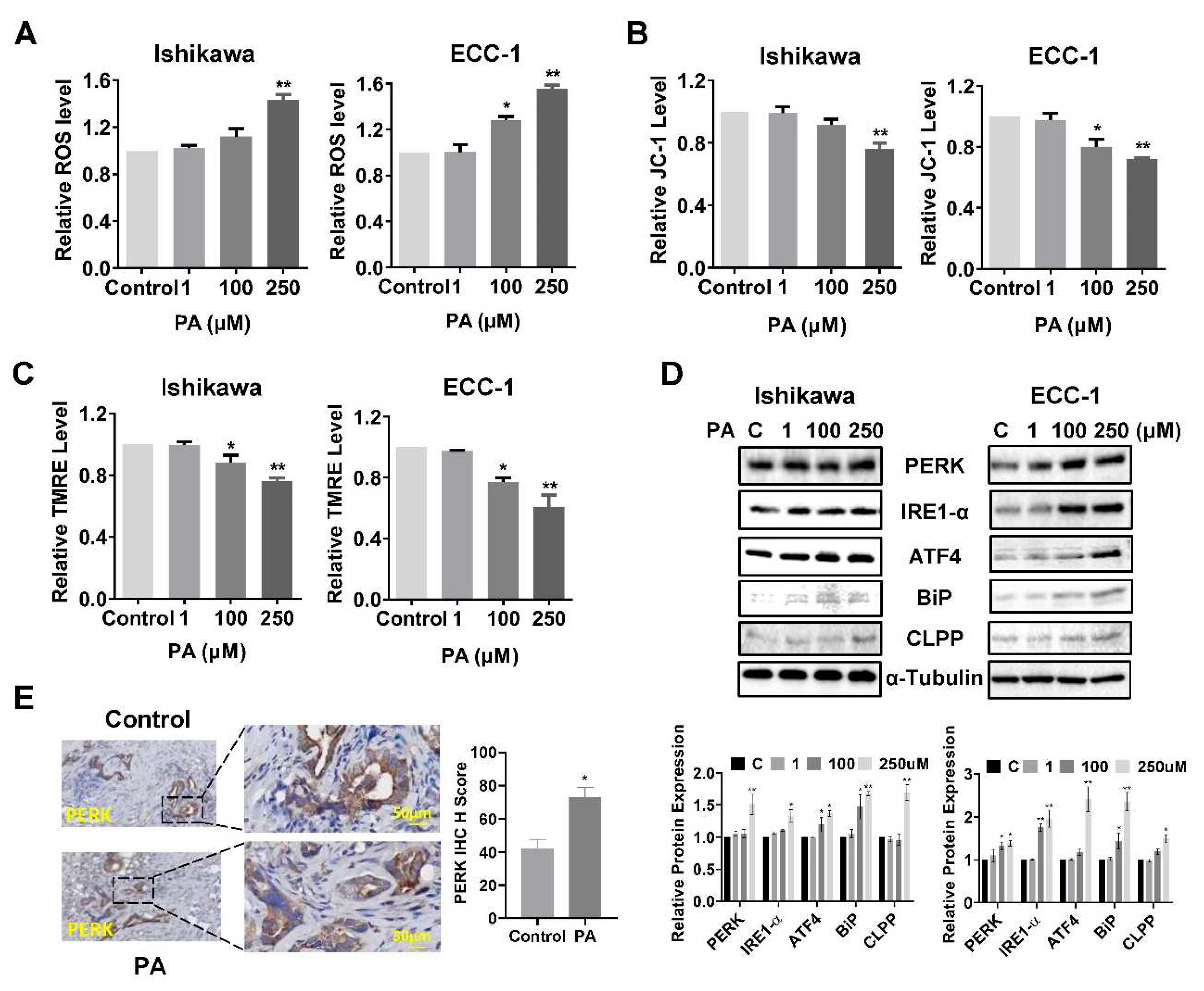 Preprints 97734 g003