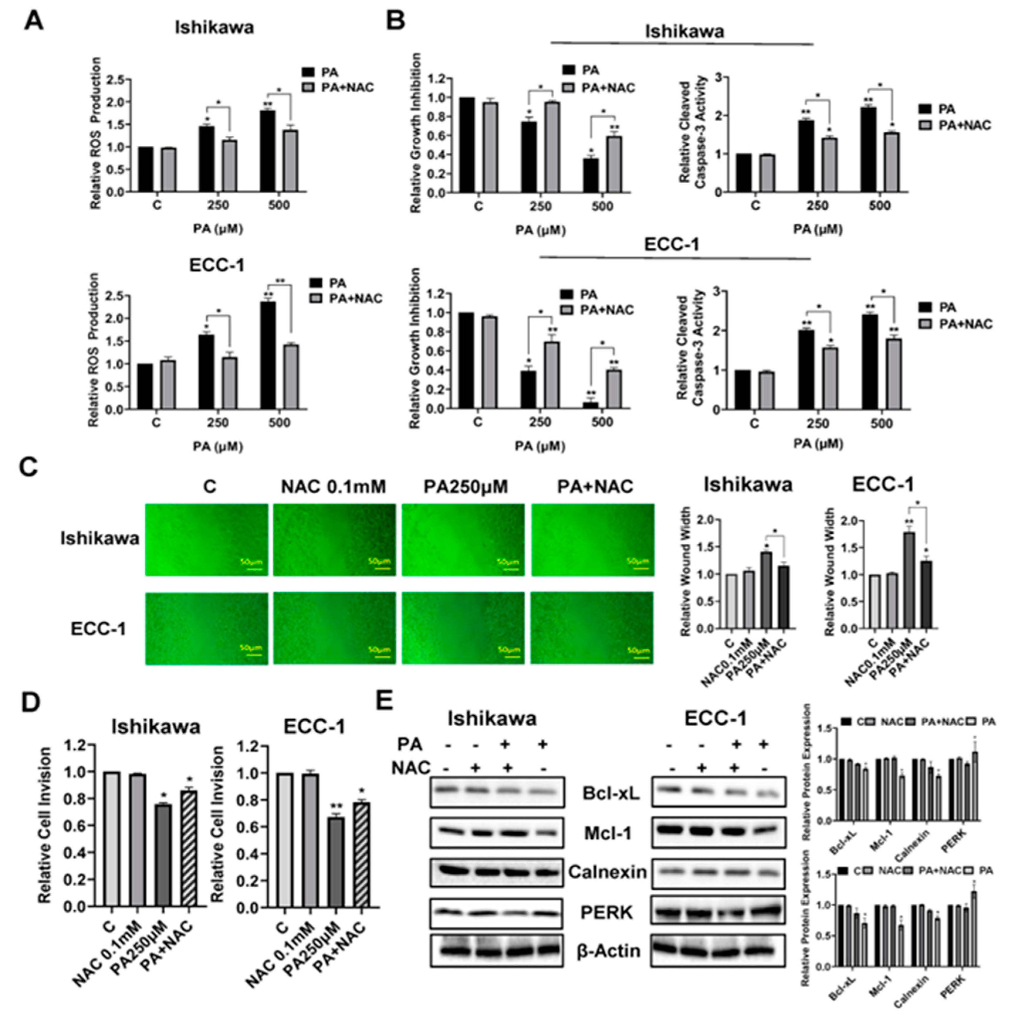 Preprints 97734 g005