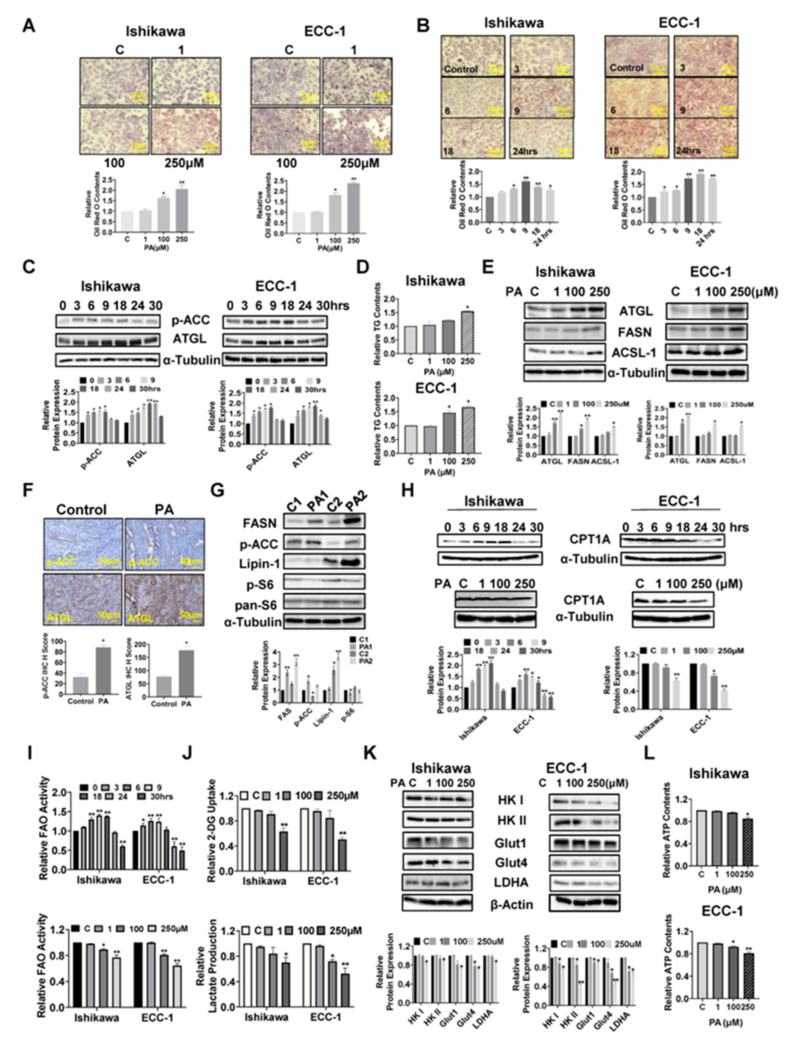 Preprints 97734 g006