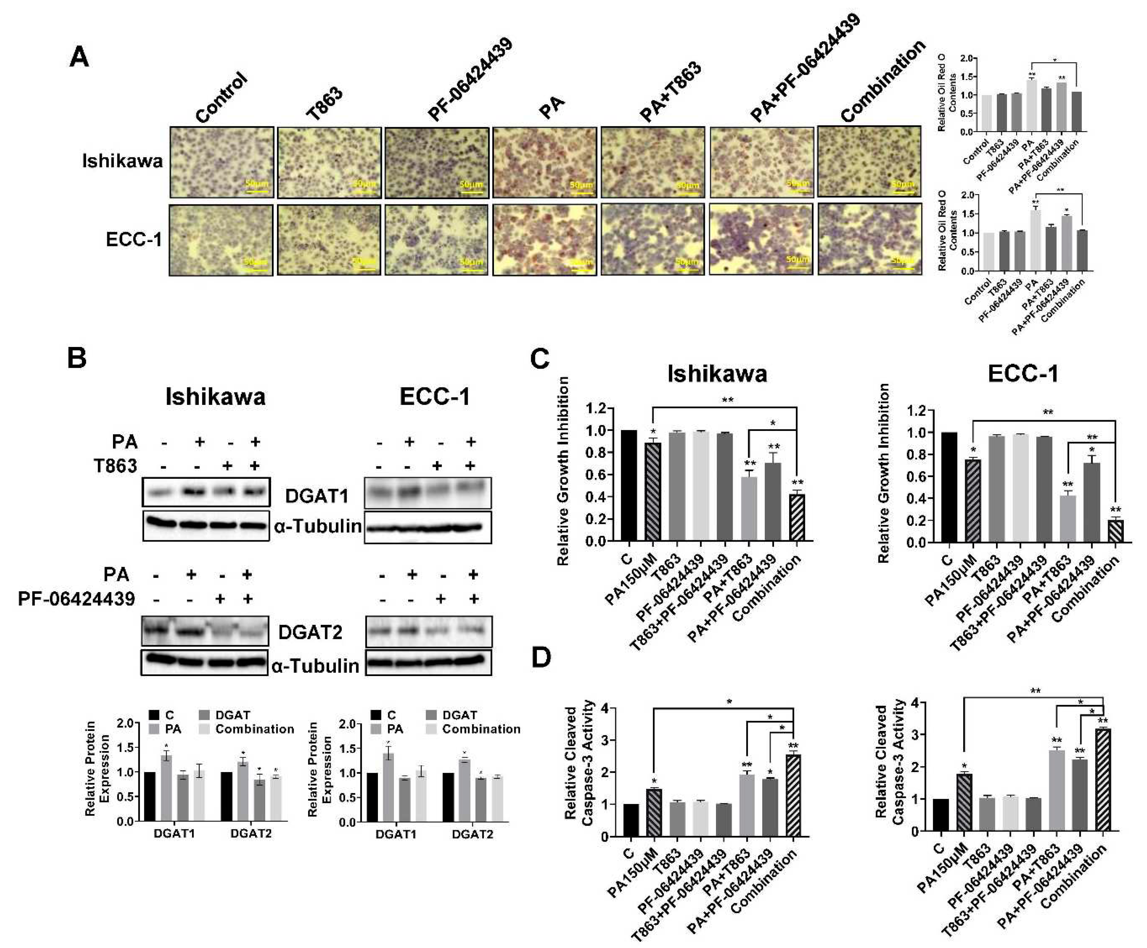 Preprints 97734 g007