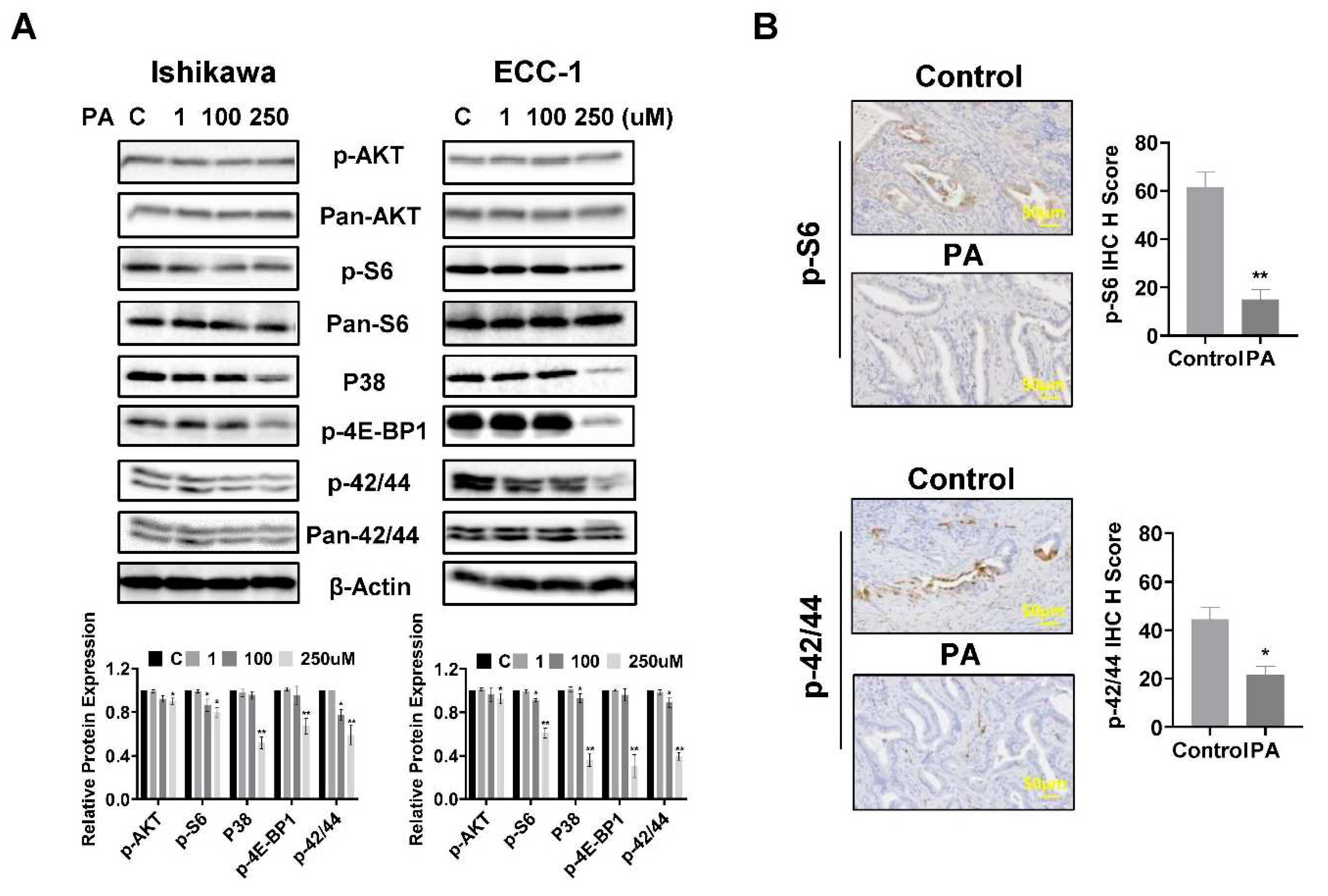 Preprints 97734 g008