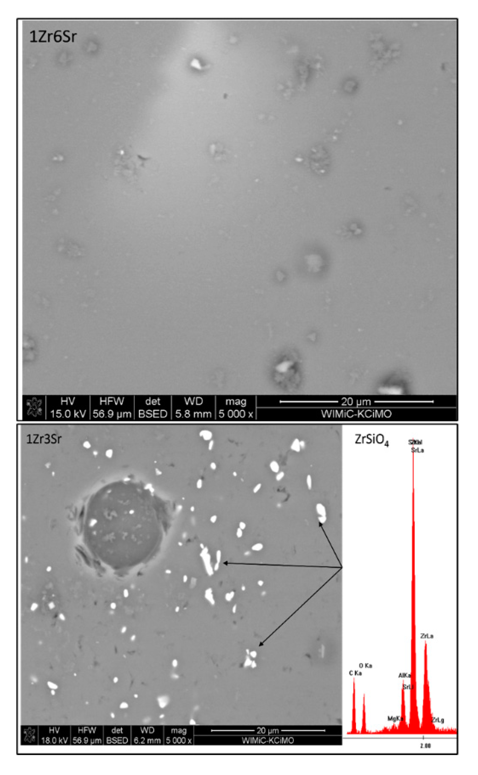 Preprints 85791 g010