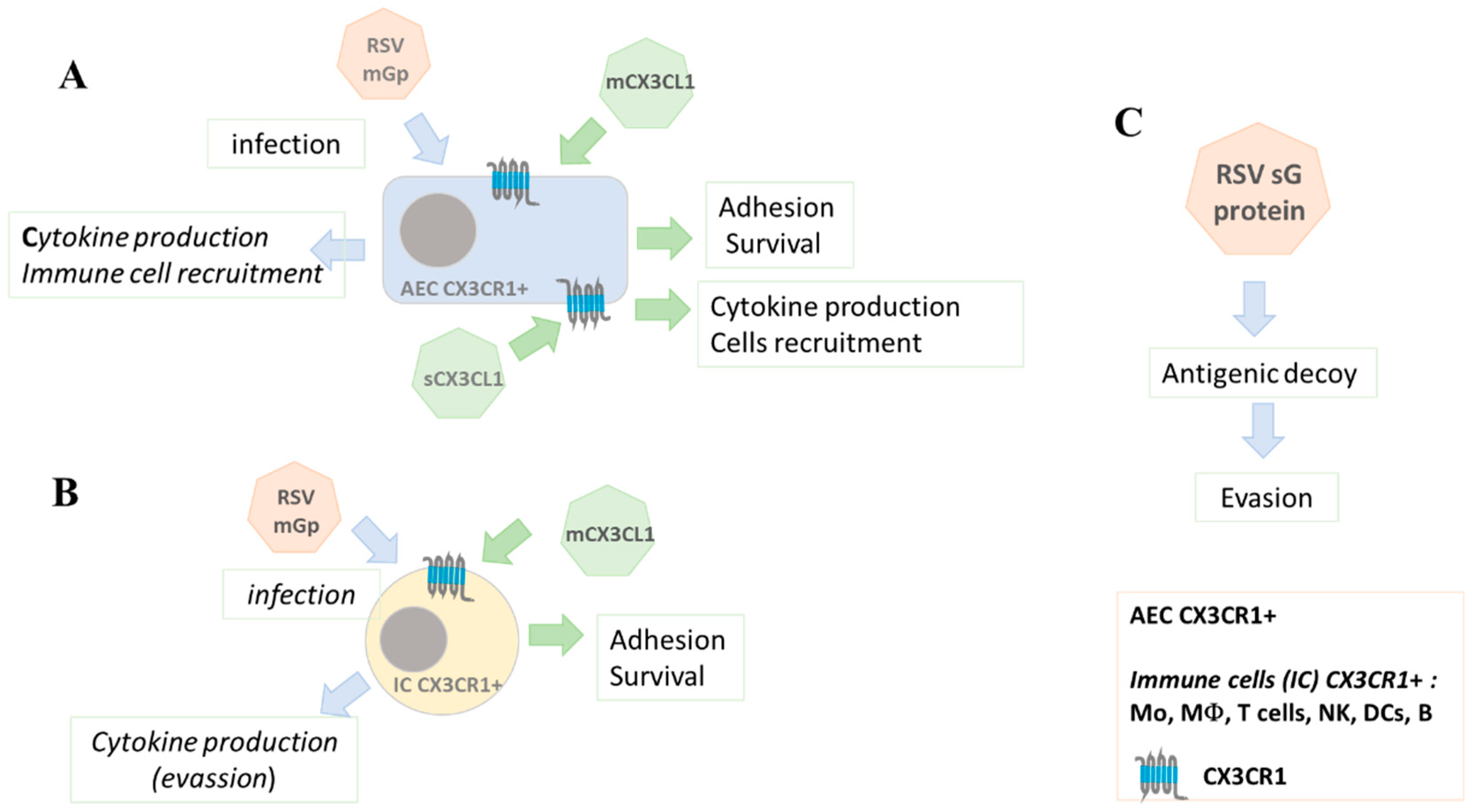 Preprints 111708 g001