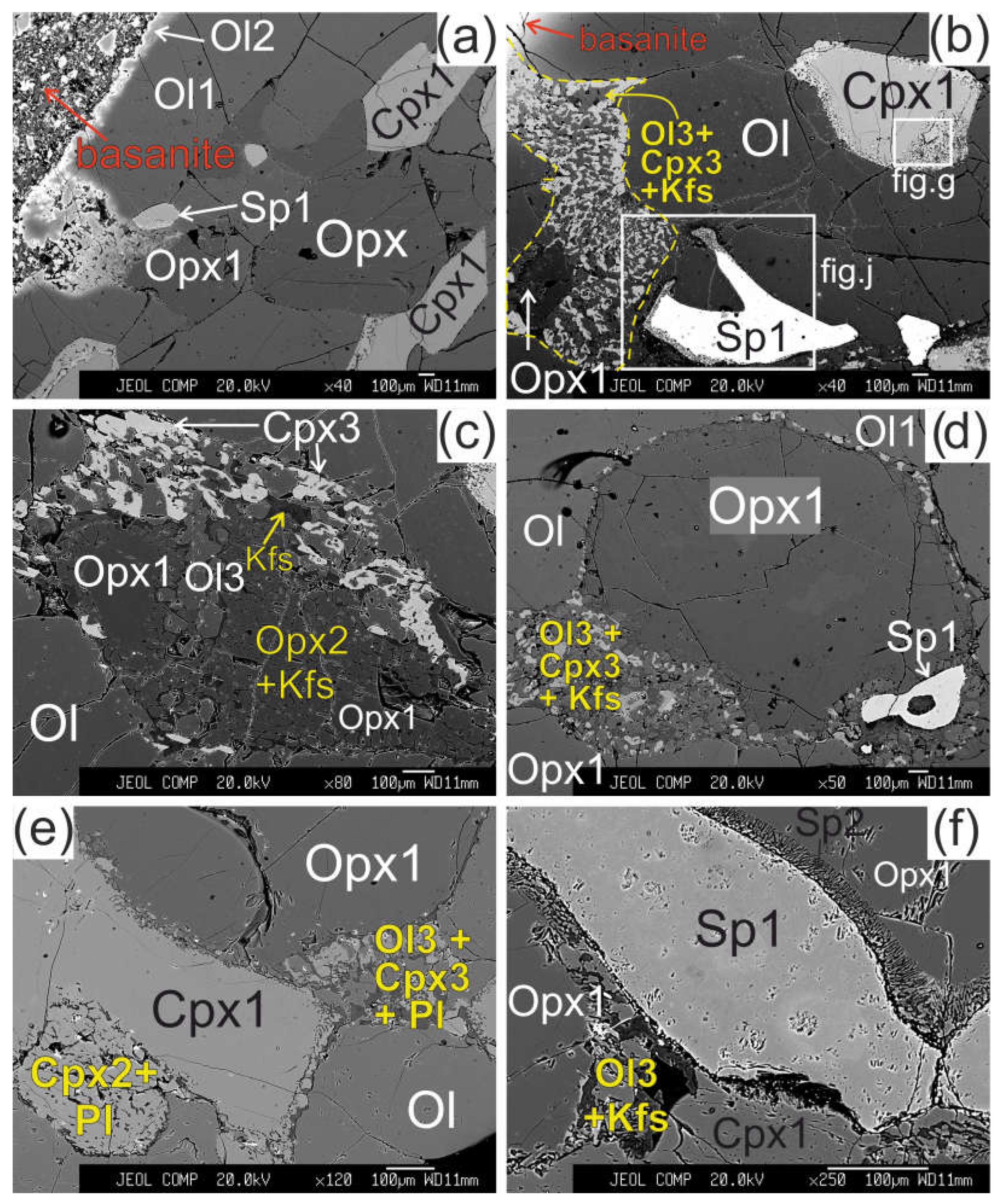 Preprints 68504 g002a