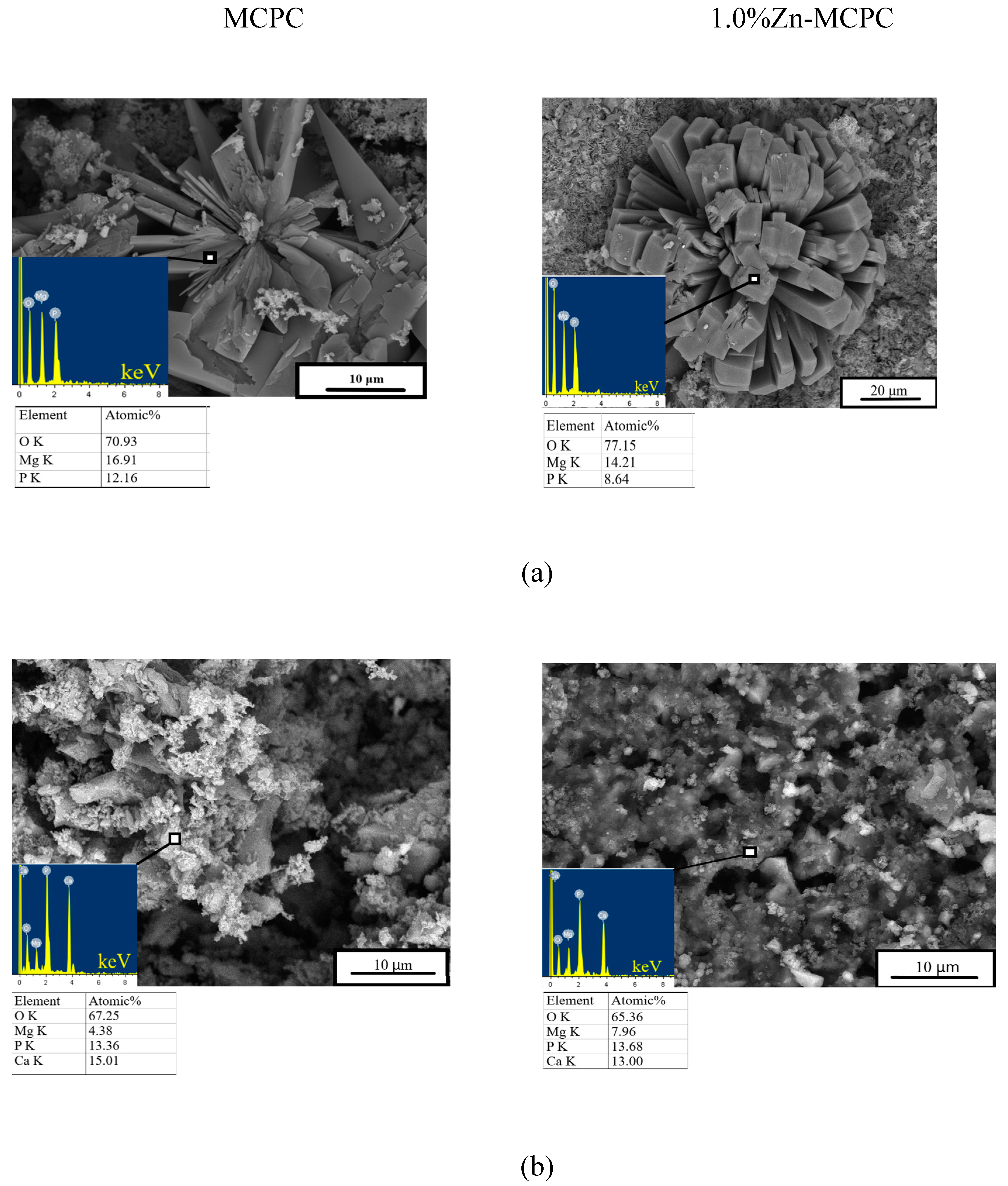 Preprints 75011 g008