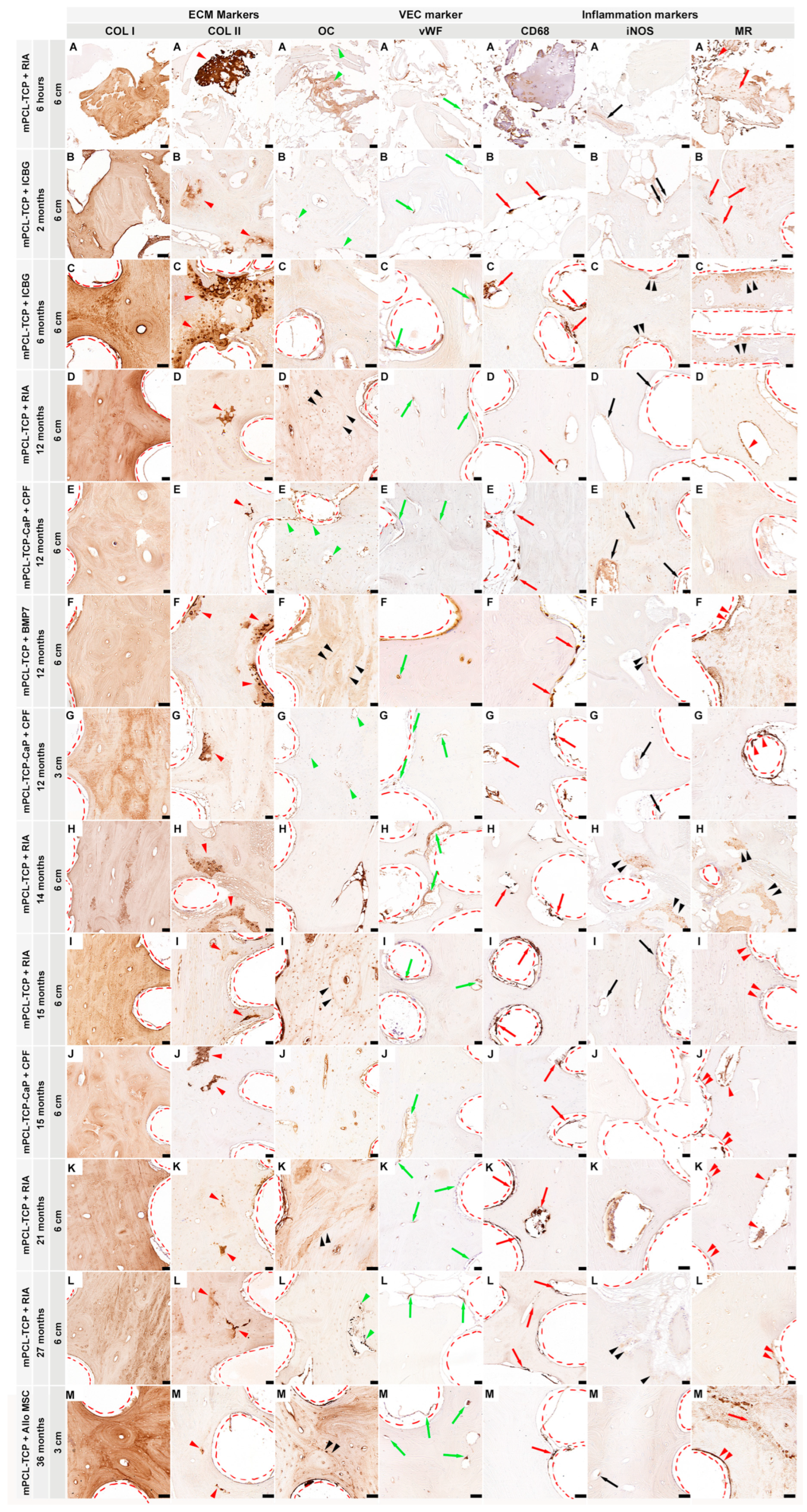 Preprints 83011 g001