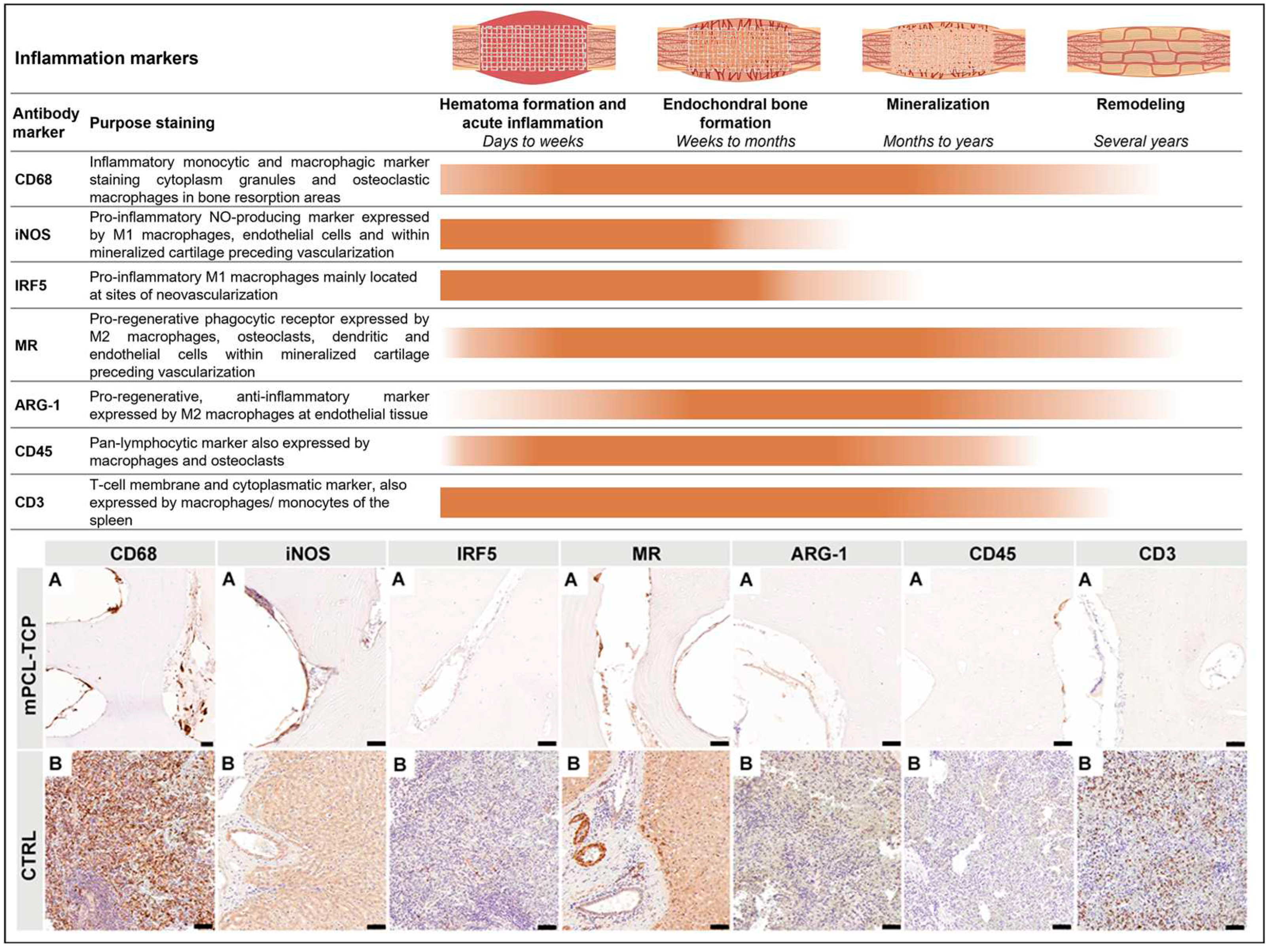 Preprints 83011 g002