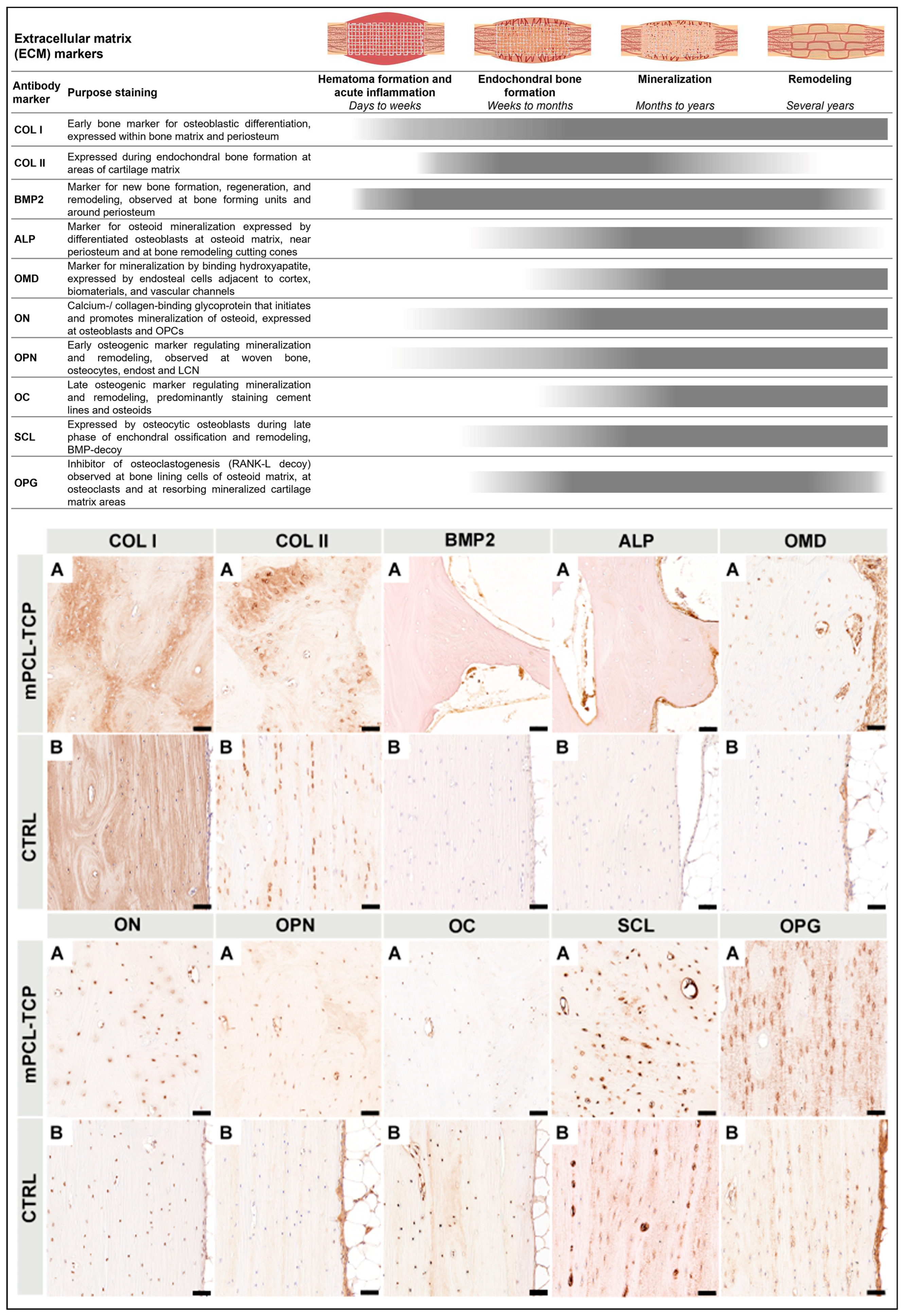 Preprints 83011 g004