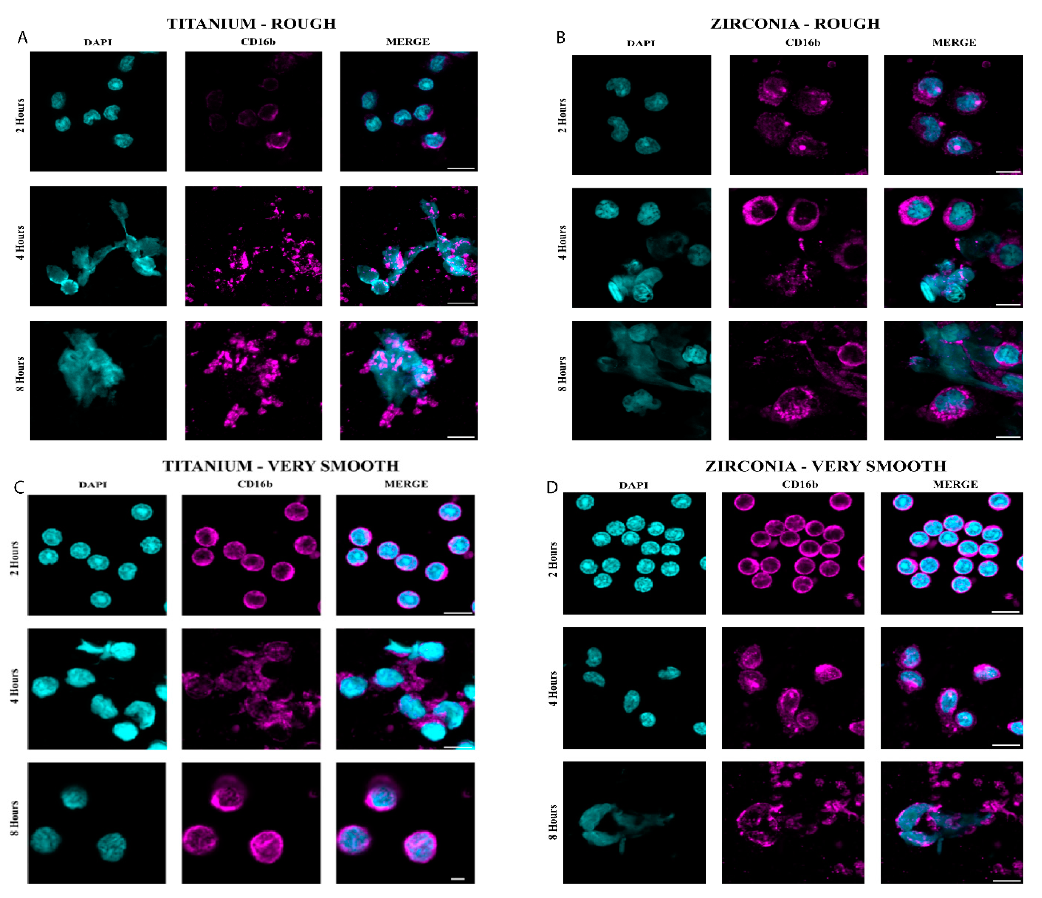 Preprints 116856 g003