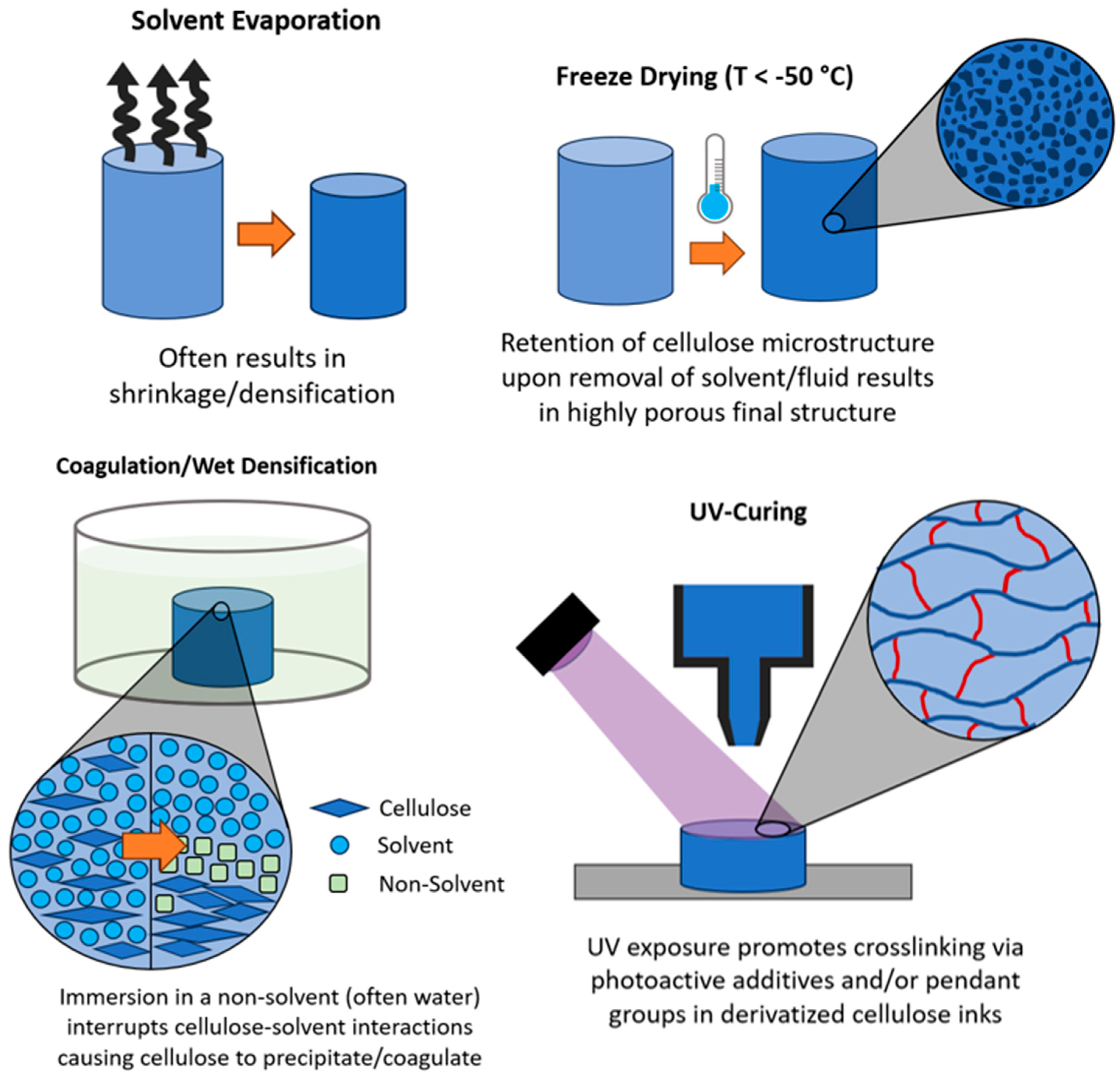 Preprints 103427 g005