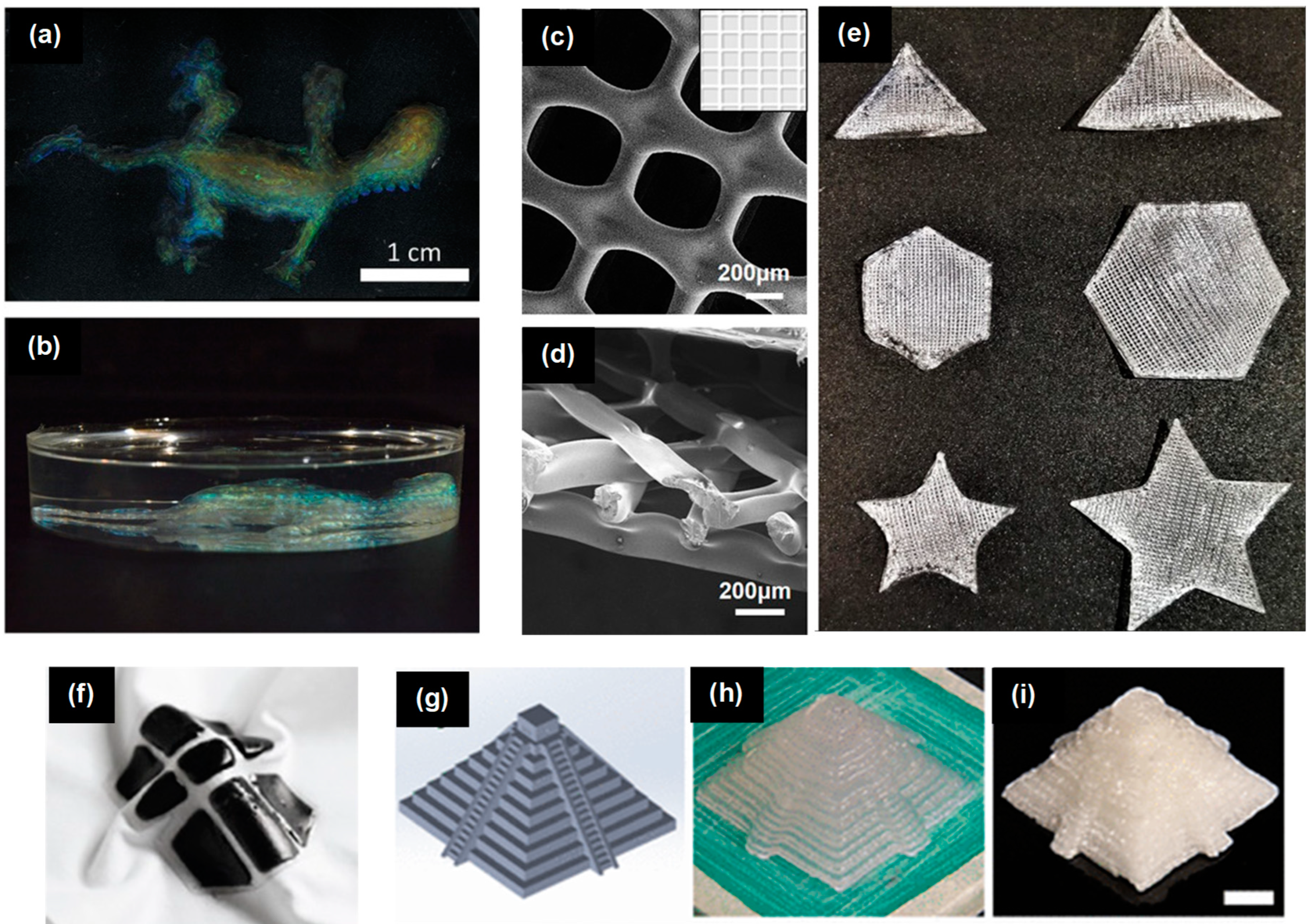 Preprints 103427 g006