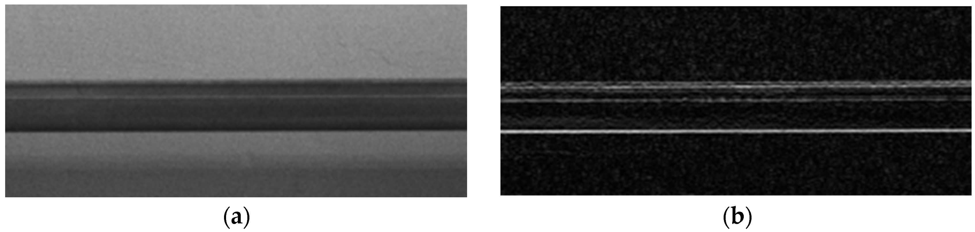 Preprints 121313 g001