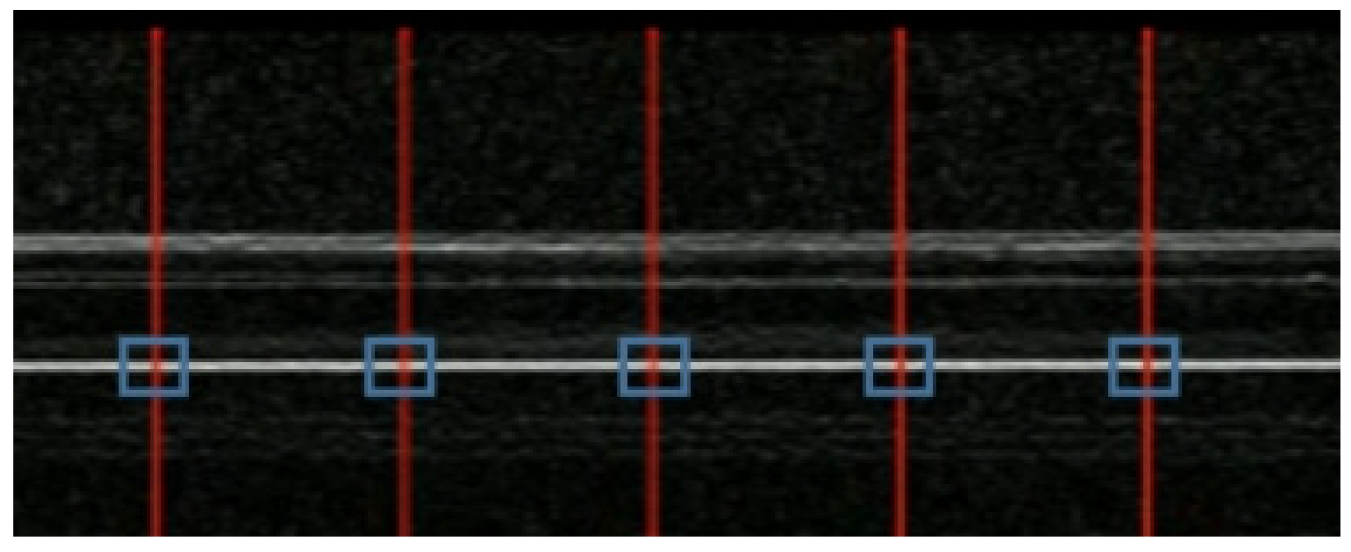 Preprints 121313 g002