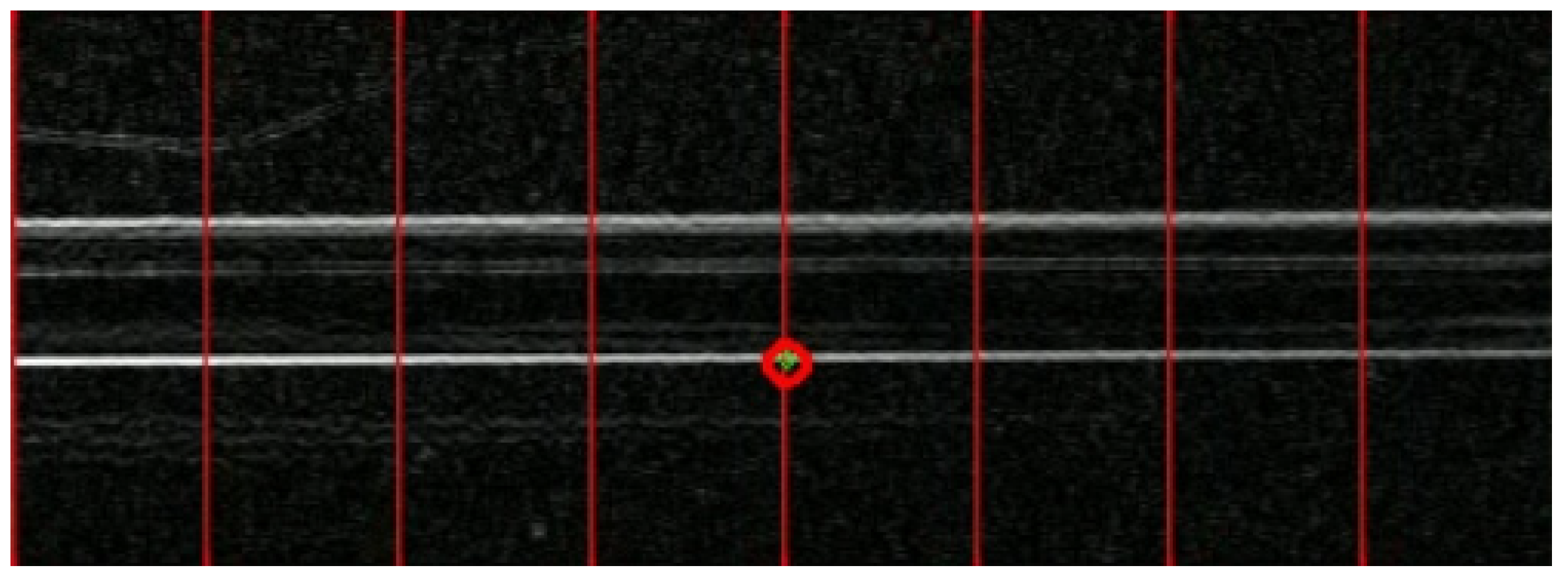 Preprints 121313 g010