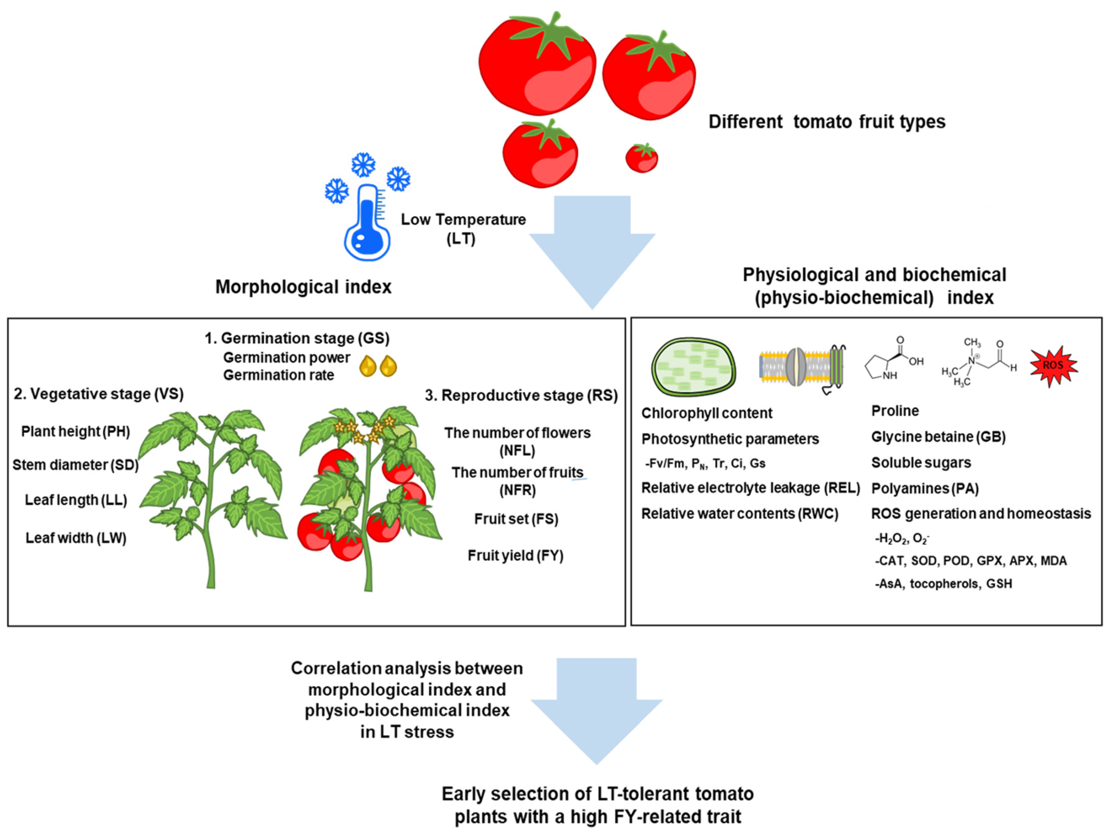 Preprints 116165 g001