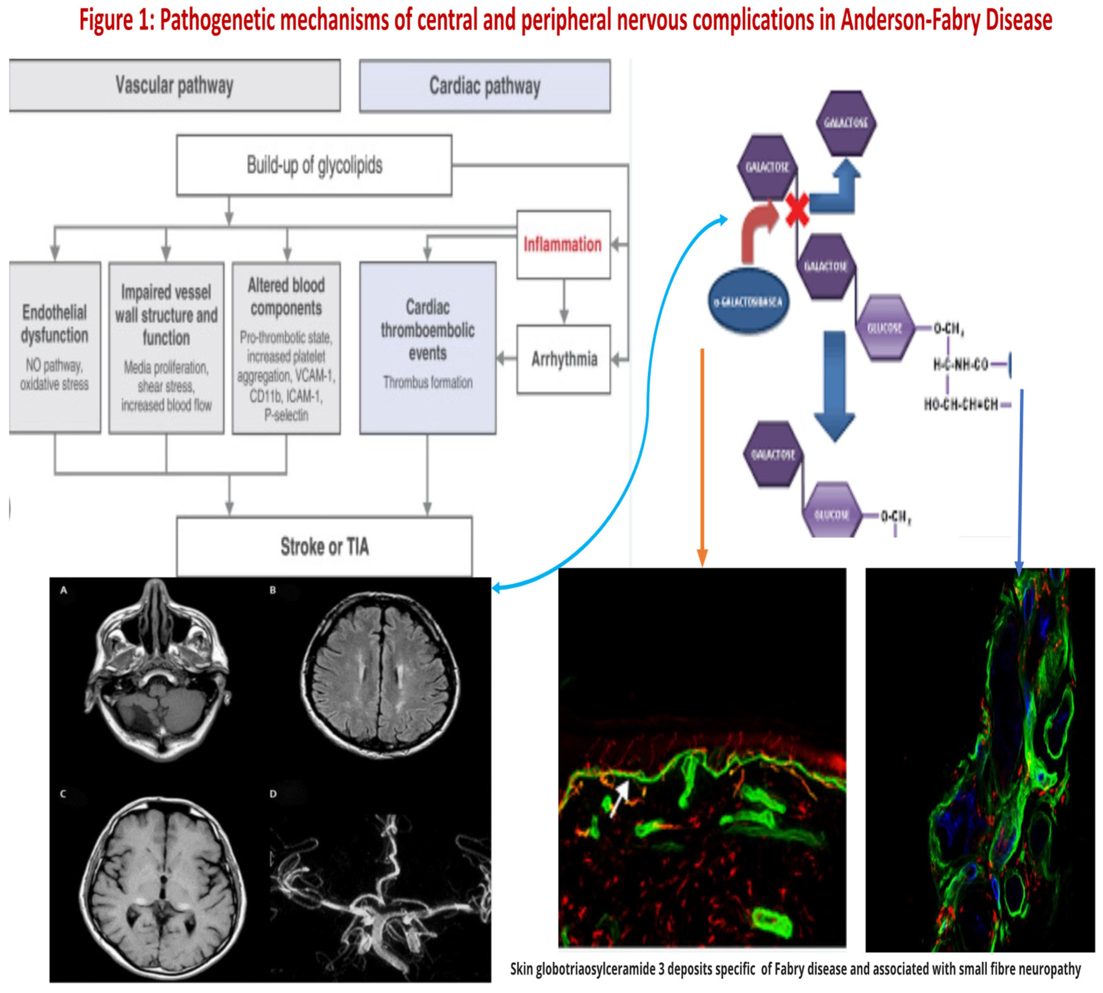 Preprints 82875 g001