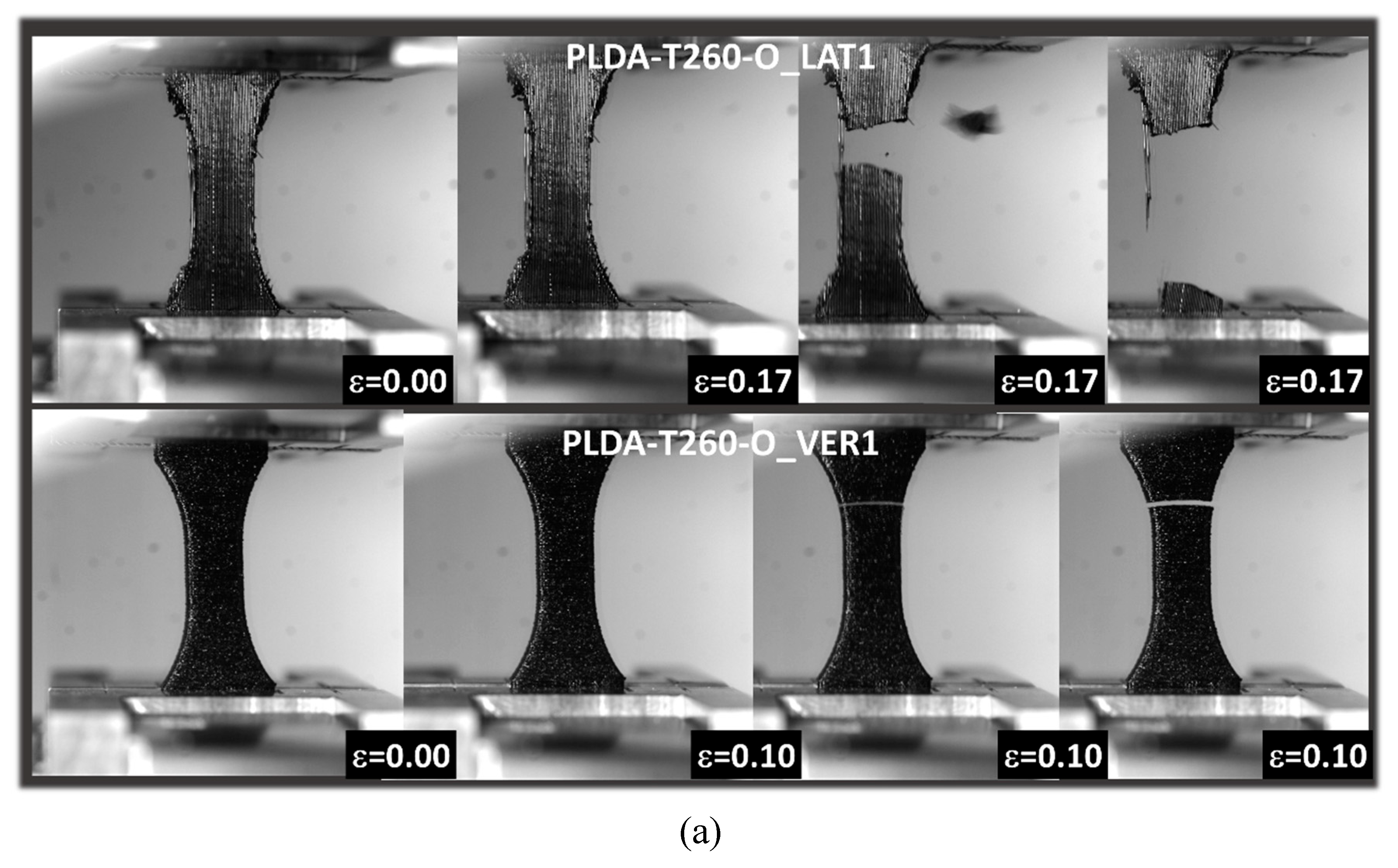 Preprints 89977 g006a