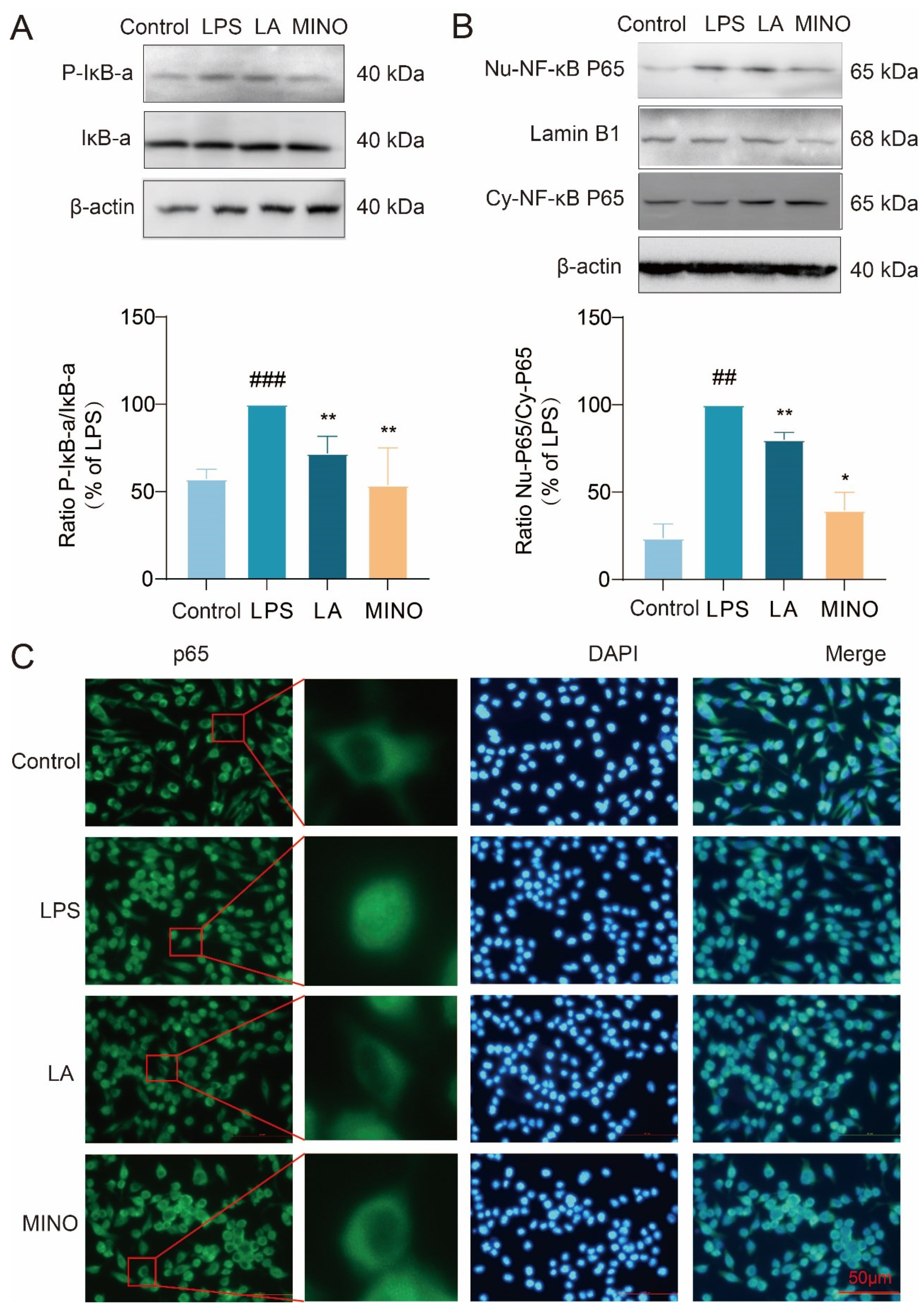 Preprints 97395 g003