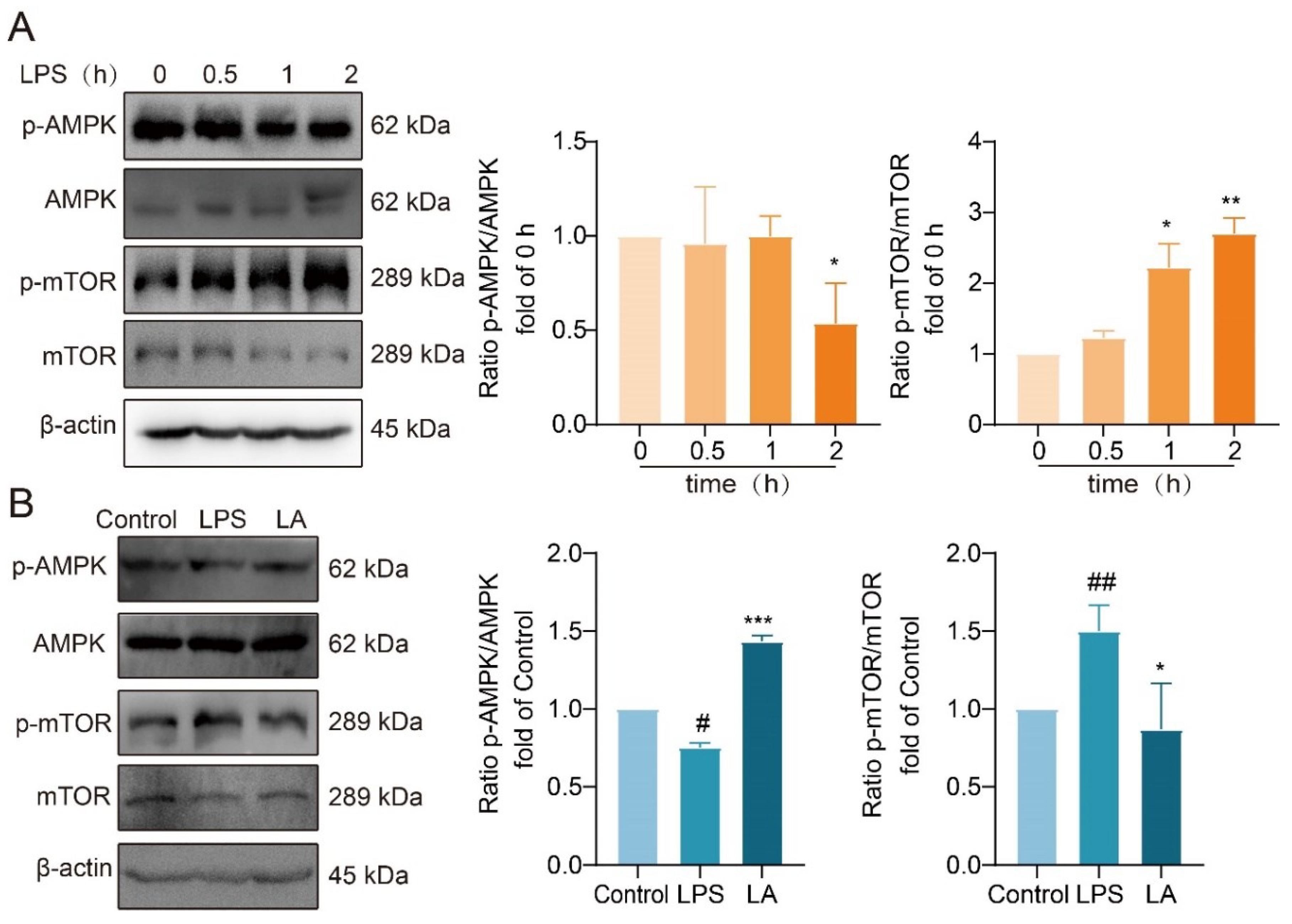 Preprints 97395 g006