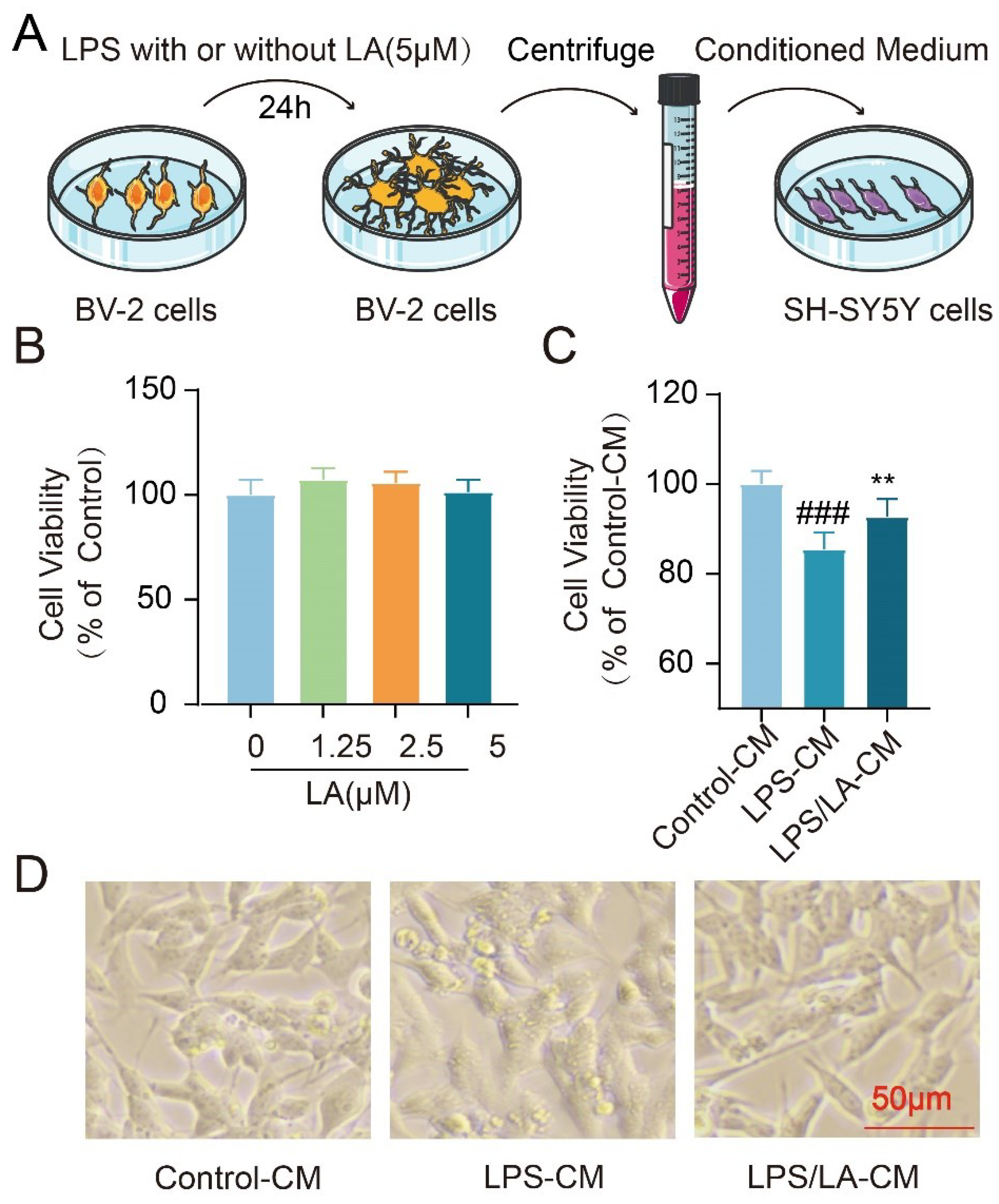 Preprints 97395 g007