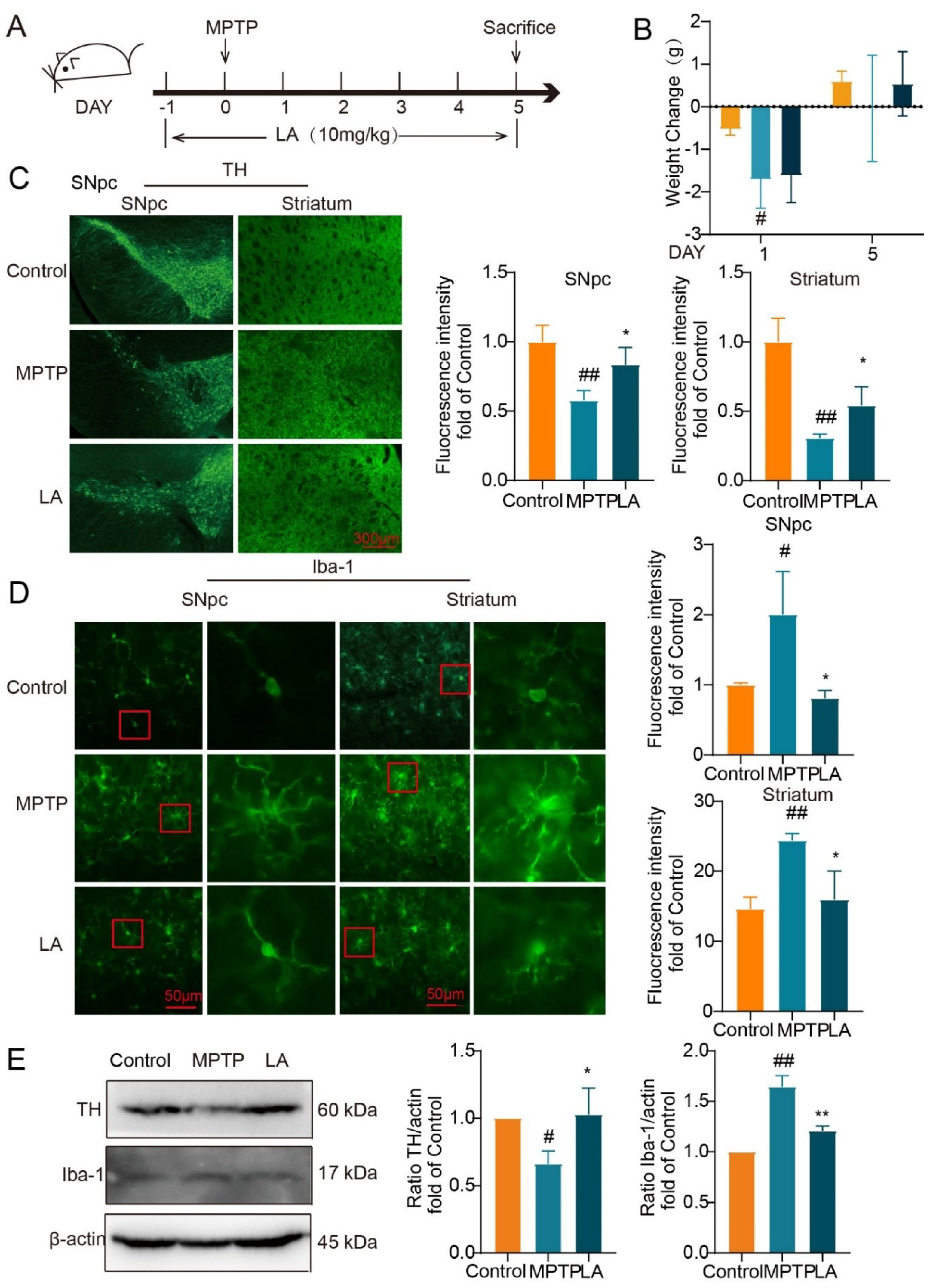 Preprints 97395 g008