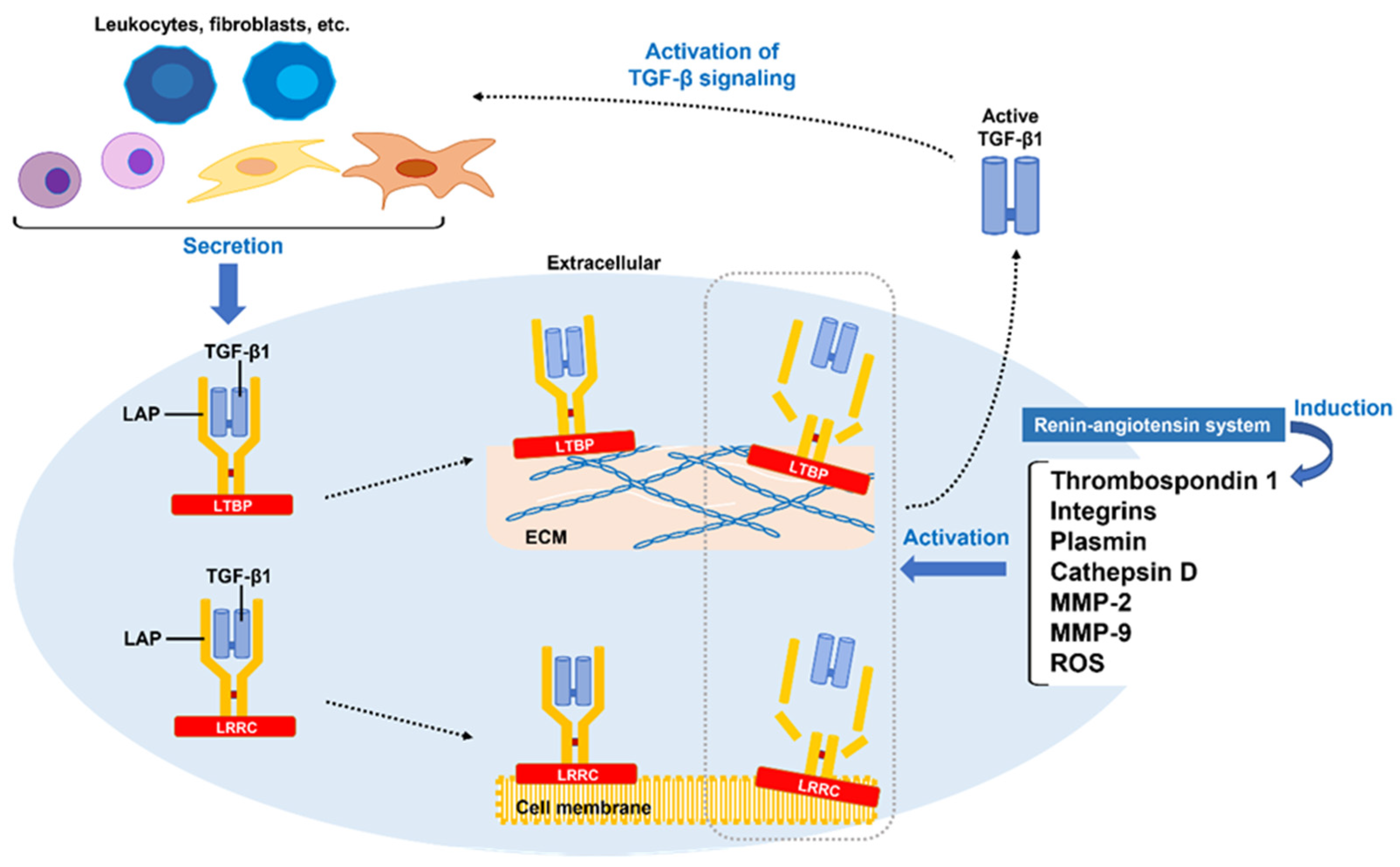 Preprints 72255 g002