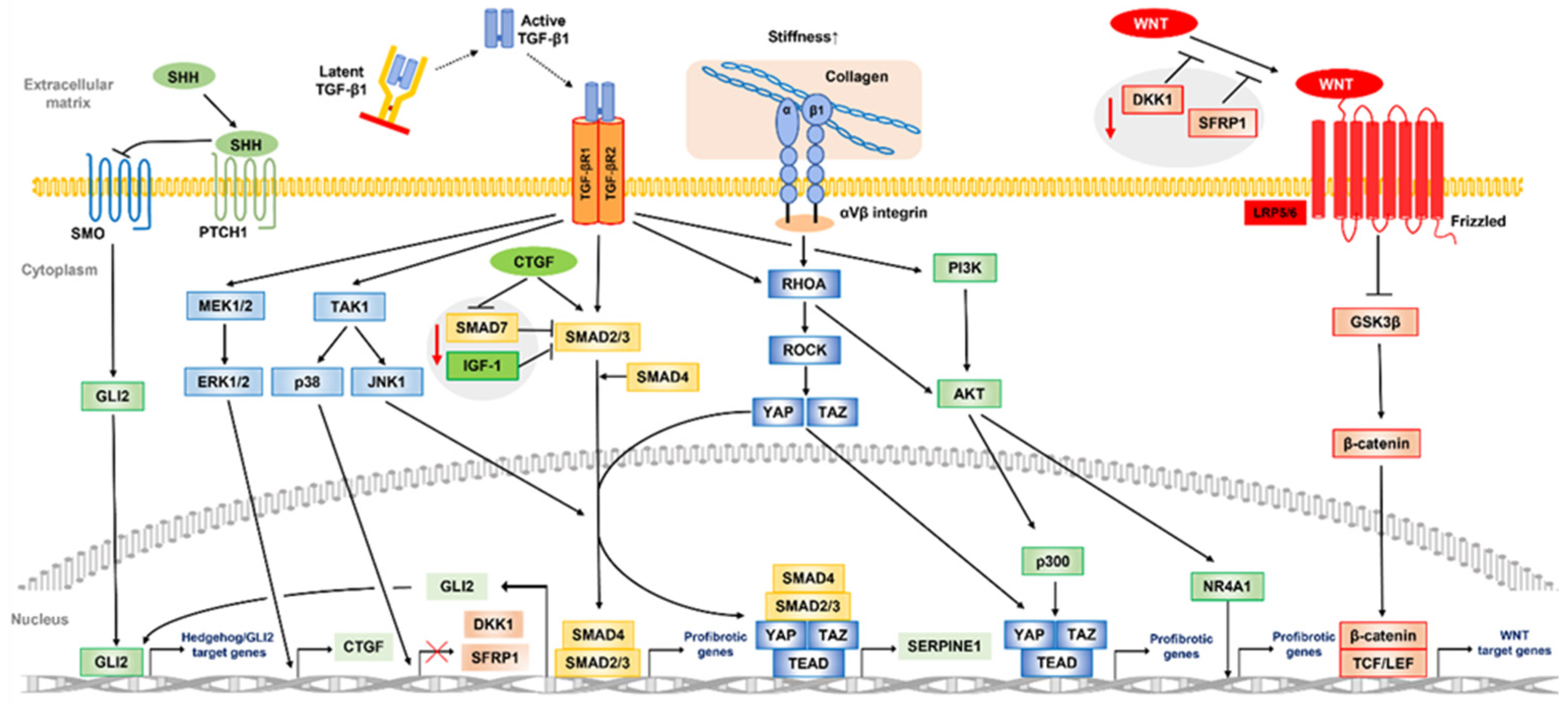 Preprints 72255 g003