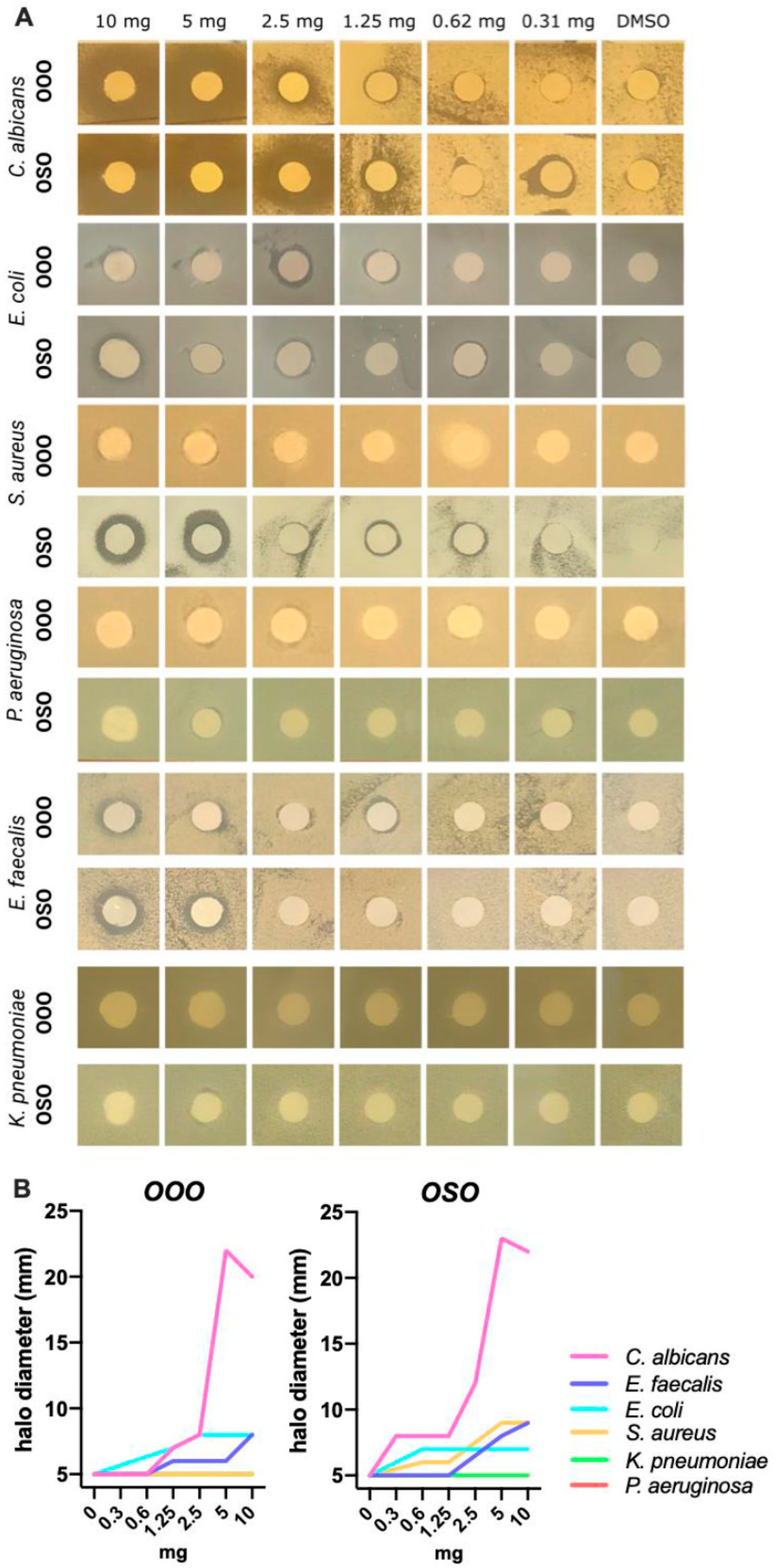 Preprints 93154 g006